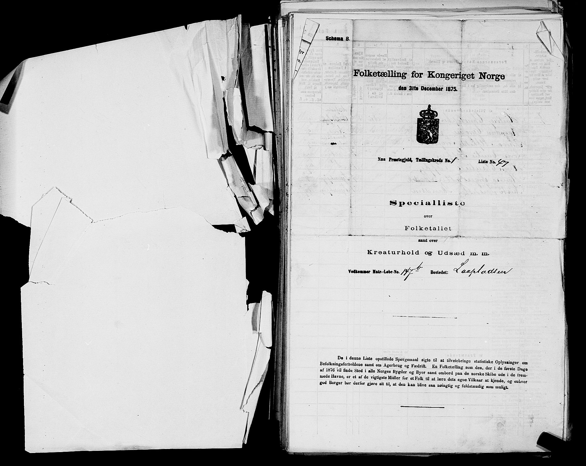 SAKO, 1875 census for 0616P Nes, 1875, p. 55
