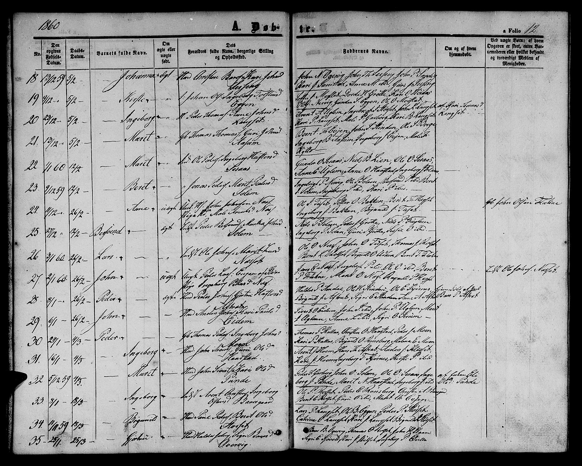 Ministerialprotokoller, klokkerbøker og fødselsregistre - Sør-Trøndelag, SAT/A-1456/695/L1155: Parish register (copy) no. 695C06, 1859-1868, p. 12