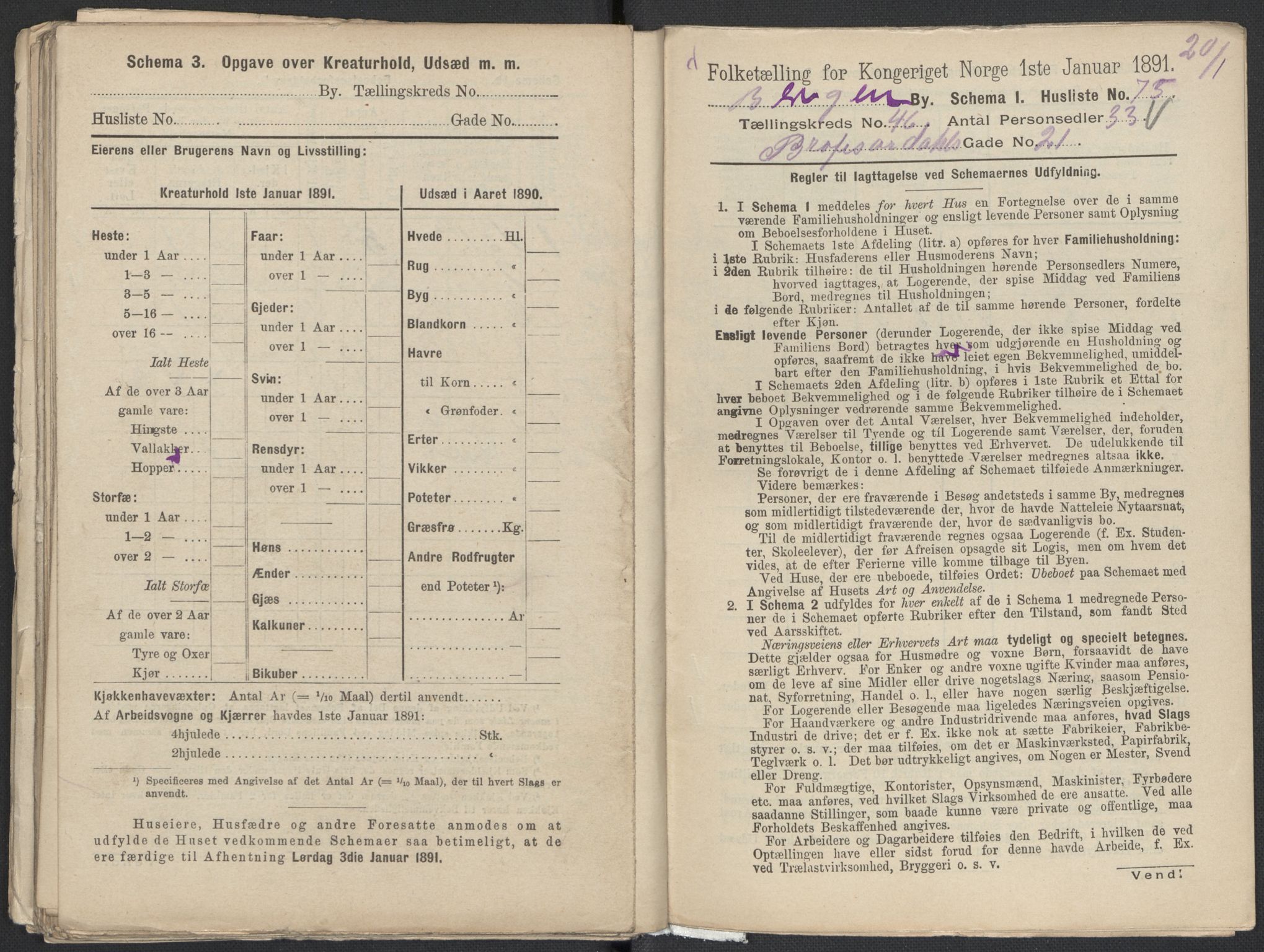 RA, 1891 Census for 1301 Bergen, 1891, p. 7642