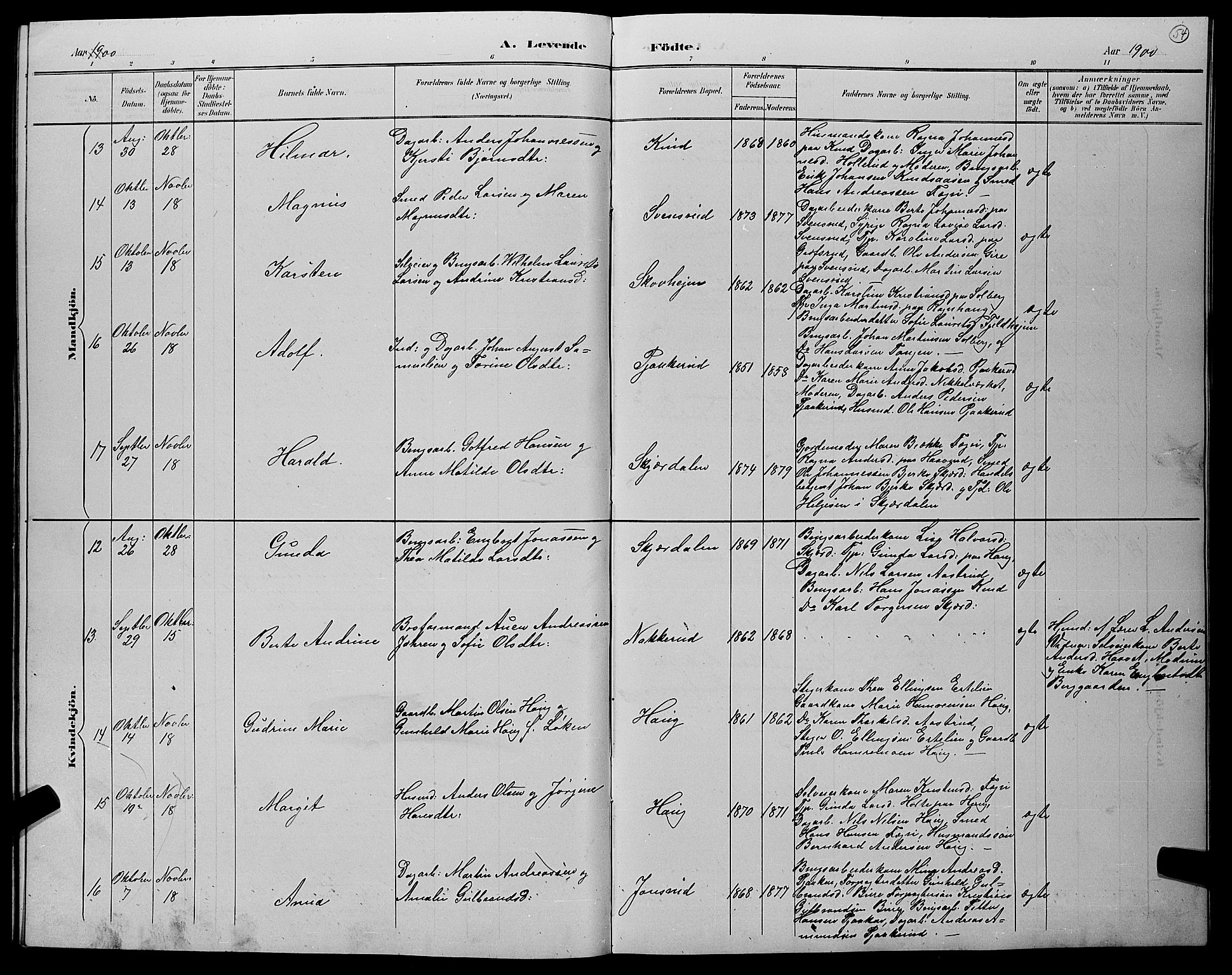 Hole kirkebøker, AV/SAKO-A-228/G/Gb/L0003: Parish register (copy) no. II 3, 1890-1901, p. 54