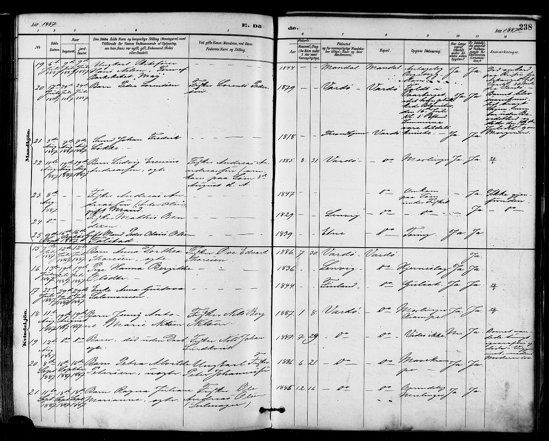 Vardø sokneprestkontor, SATØ/S-1332/H/Ha/L0007kirke: Parish register (official) no. 7, 1886-1897, p. 238