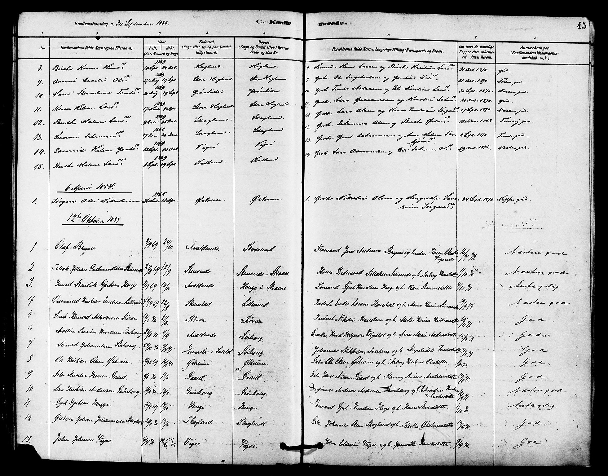 Haugesund sokneprestkontor, AV/SAST-A -101863/H/Ha/Haa/L0002: Parish register (official) no. A 2, 1878-1886, p. 45