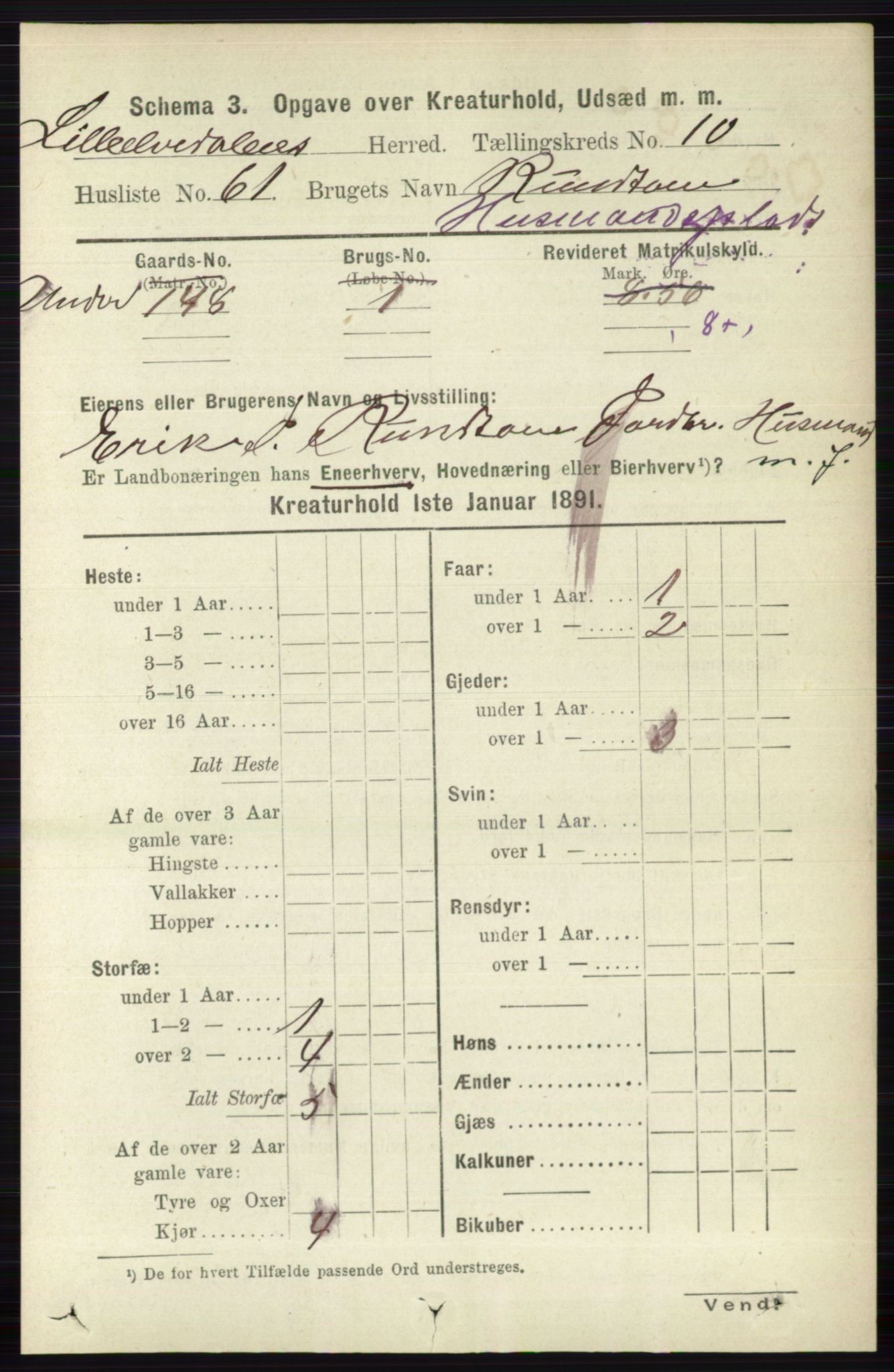 RA, 1891 census for 0438 Lille Elvedalen, 1891, p. 4974