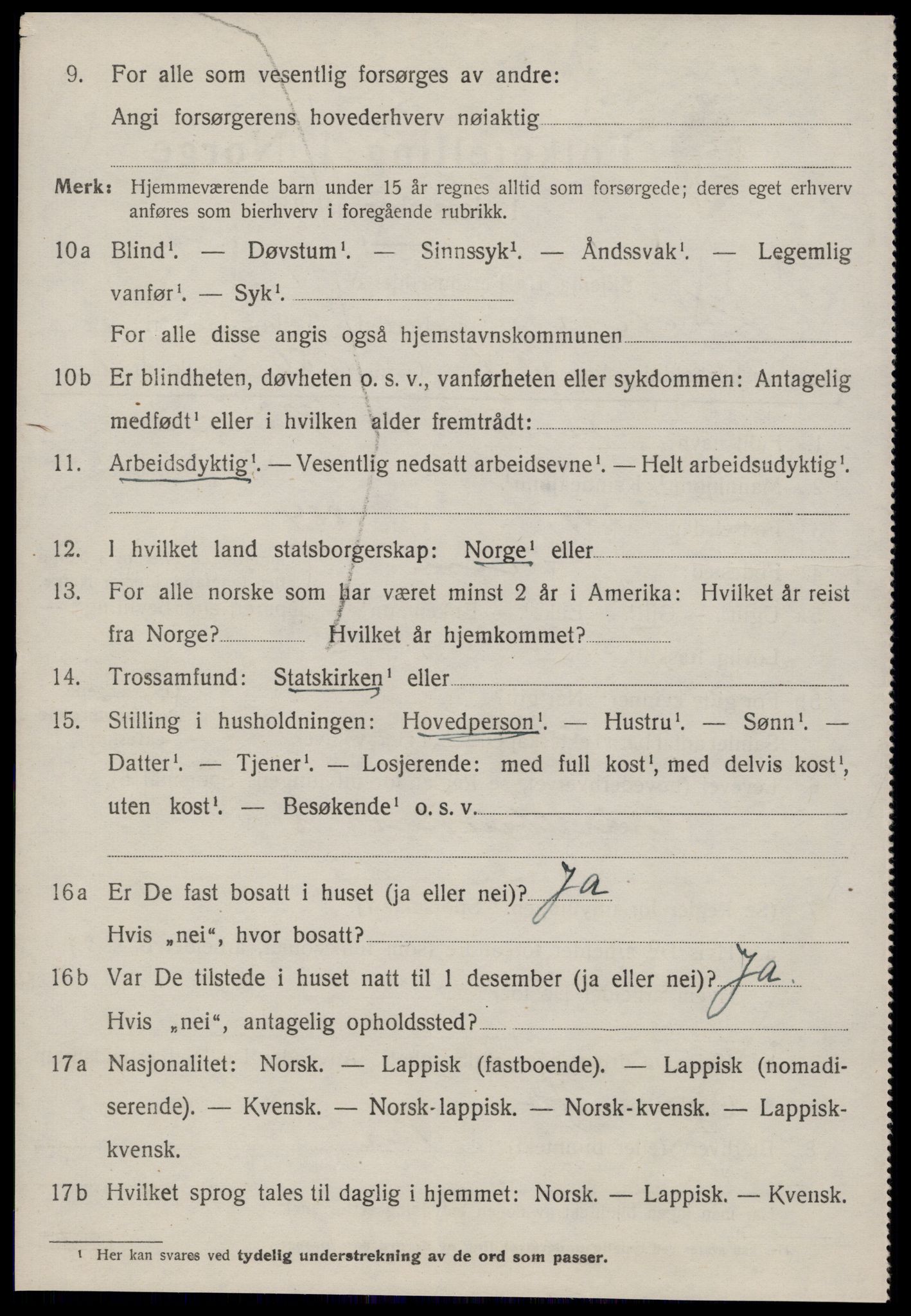 SAT, 1920 census for Støren, 1920, p. 2403