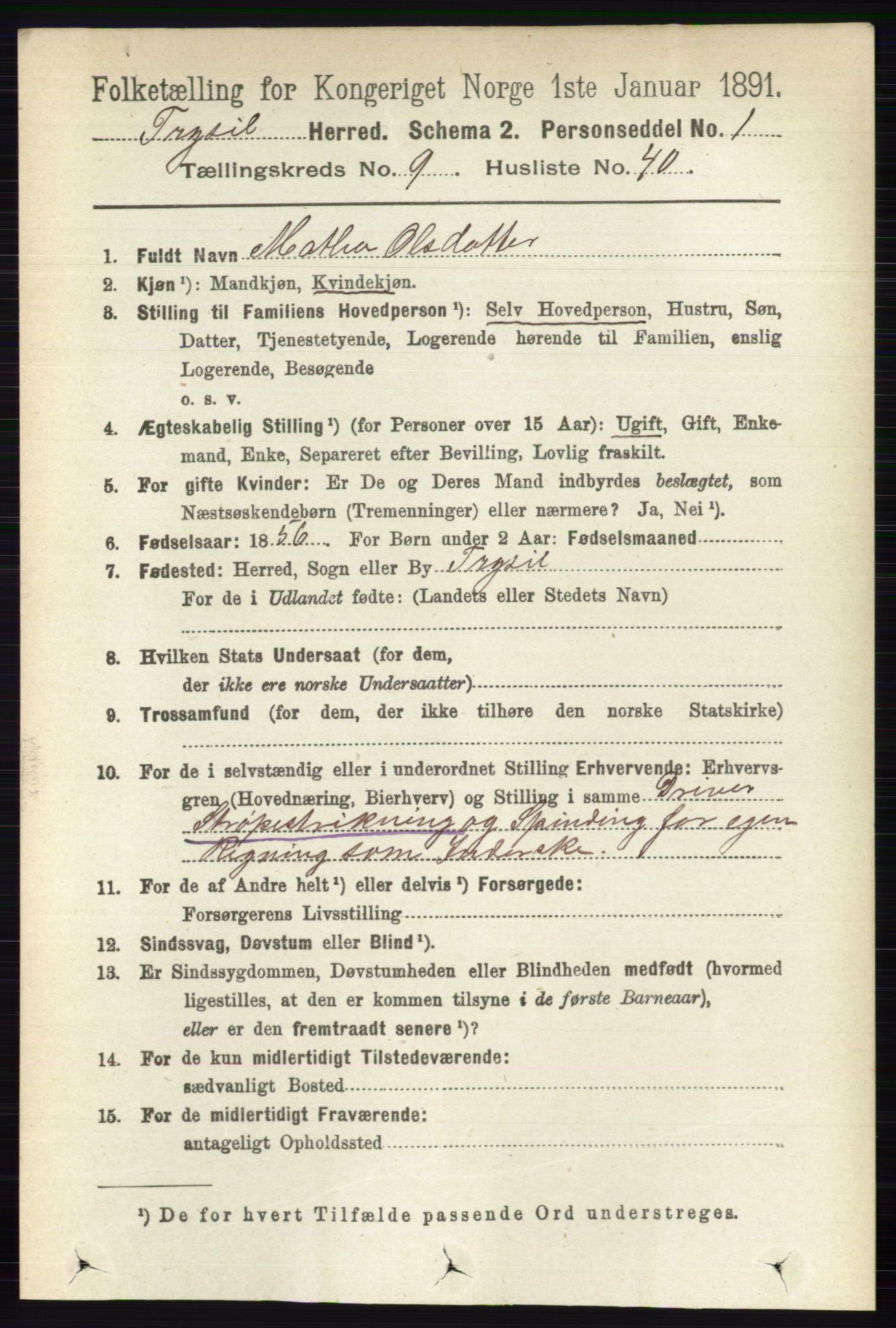 RA, 1891 census for 0428 Trysil, 1891, p. 4450