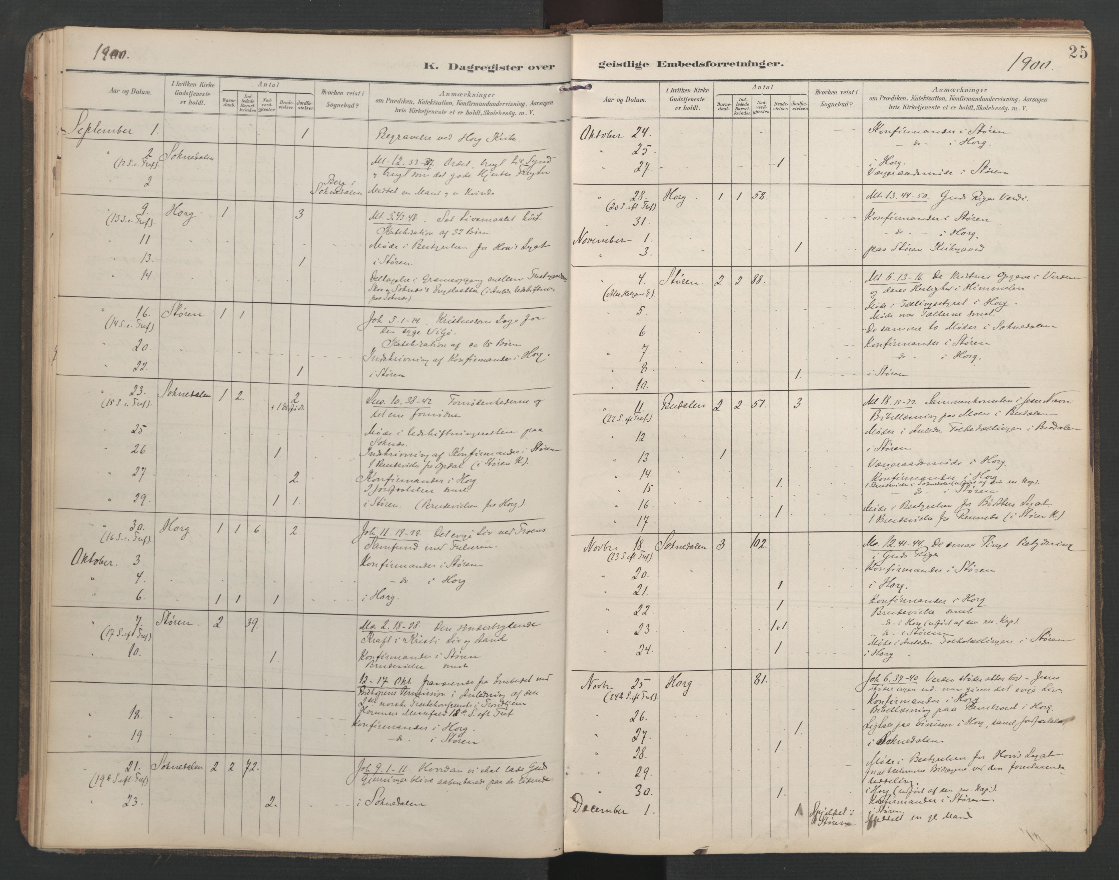 Ministerialprotokoller, klokkerbøker og fødselsregistre - Sør-Trøndelag, SAT/A-1456/687/L1005: Diary records no. 687A11, 1891-1912, p. 25