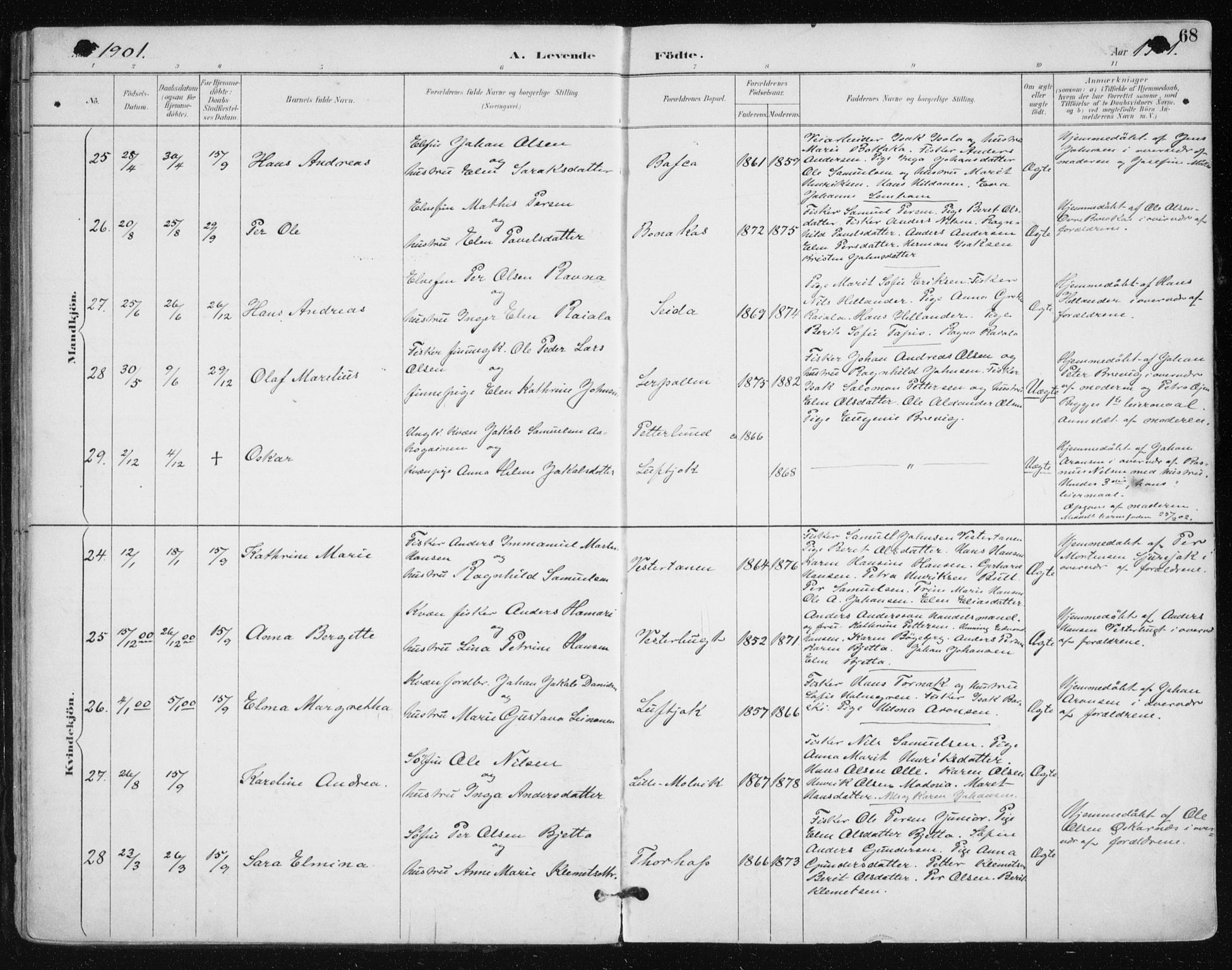 Tana sokneprestkontor, AV/SATØ-S-1334/H/Ha/L0005kirke: Parish register (official) no. 5, 1891-1903, p. 68