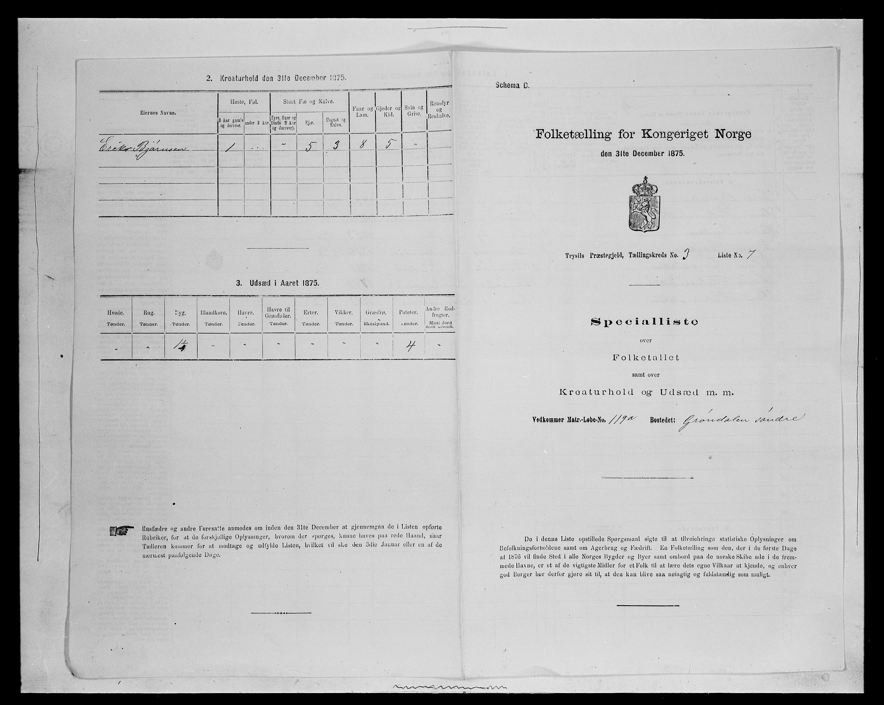 SAH, 1875 census for 0428P Trysil, 1875, p. 416