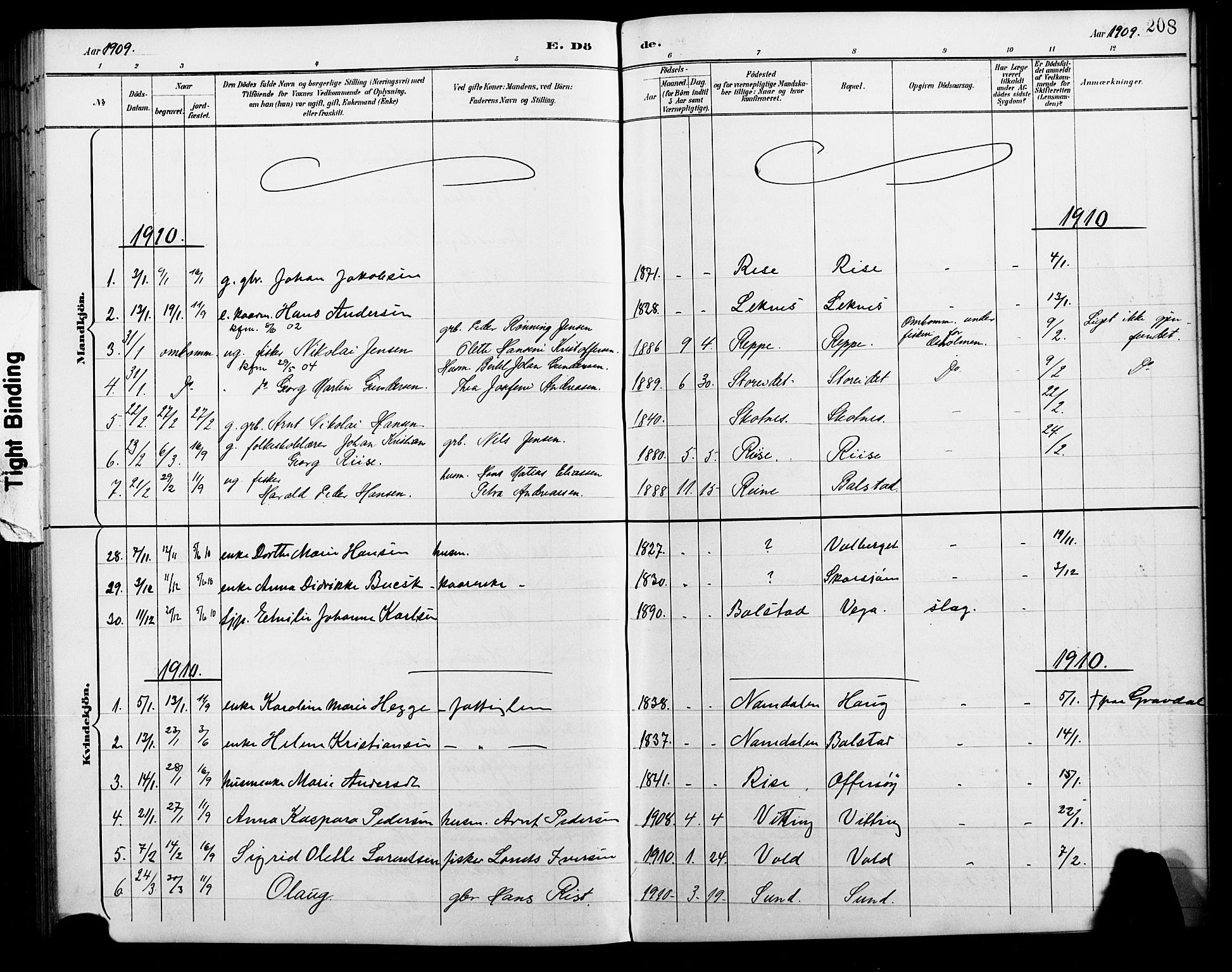 Ministerialprotokoller, klokkerbøker og fødselsregistre - Nordland, AV/SAT-A-1459/881/L1168: Parish register (copy) no. 881C05, 1900-1911, p. 208