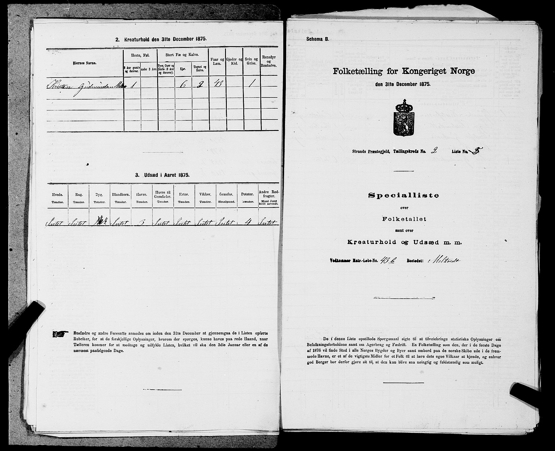 SAST, 1875 census for 1130P Strand, 1875, p. 168