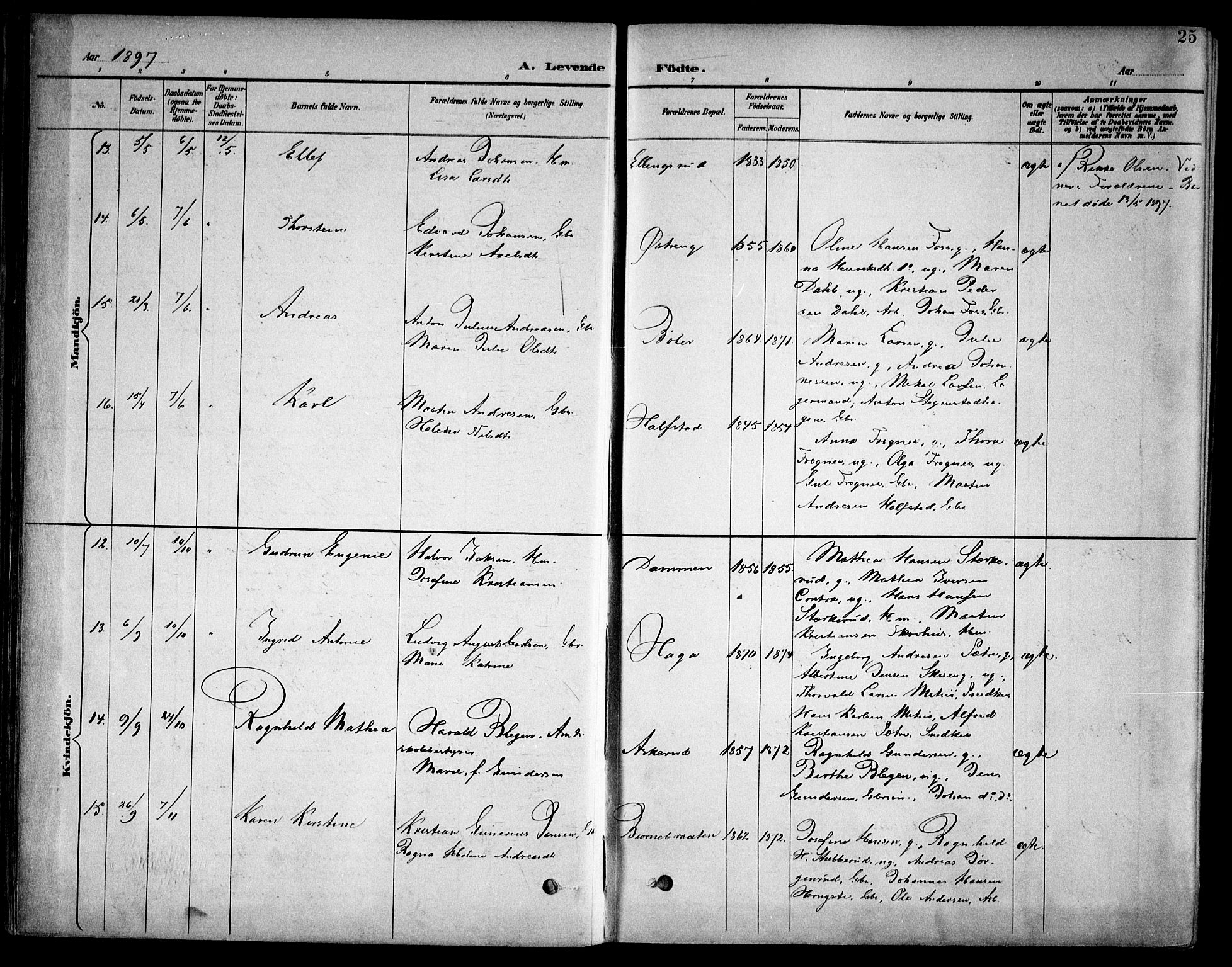 Kråkstad prestekontor Kirkebøker, AV/SAO-A-10125a/F/Fb/L0002: Parish register (official) no. II 2, 1893-1917, p. 25