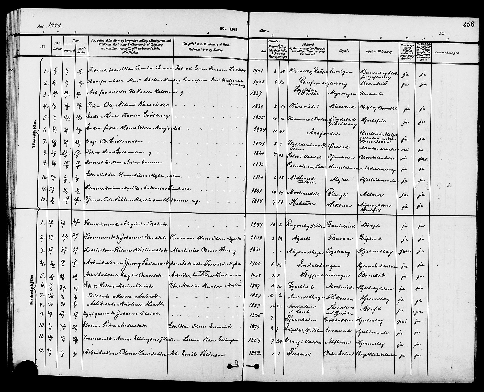 Vestre Toten prestekontor, SAH/PREST-108/H/Ha/Hab/L0010: Parish register (copy) no. 10, 1900-1912, p. 256