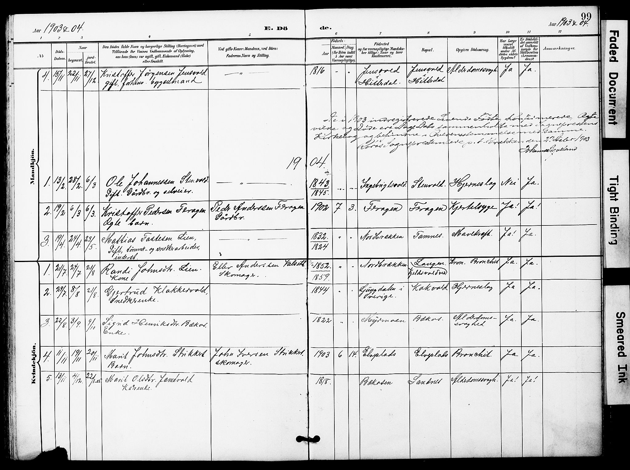 Ministerialprotokoller, klokkerbøker og fødselsregistre - Sør-Trøndelag, AV/SAT-A-1456/683/L0950: Parish register (copy) no. 683C02, 1897-1918, p. 99