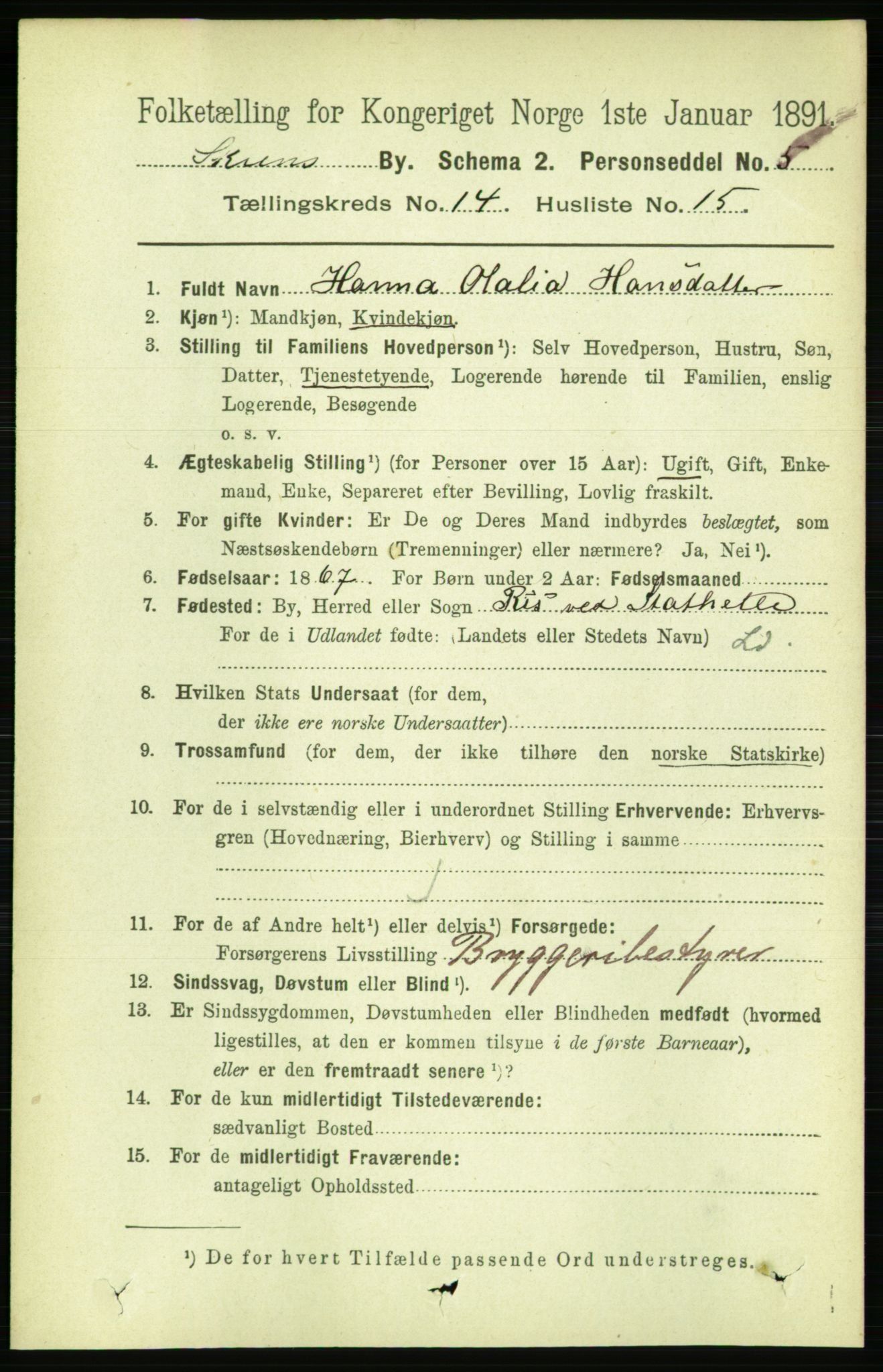 RA, 1891 census for 0806 Skien, 1891, p. 4408