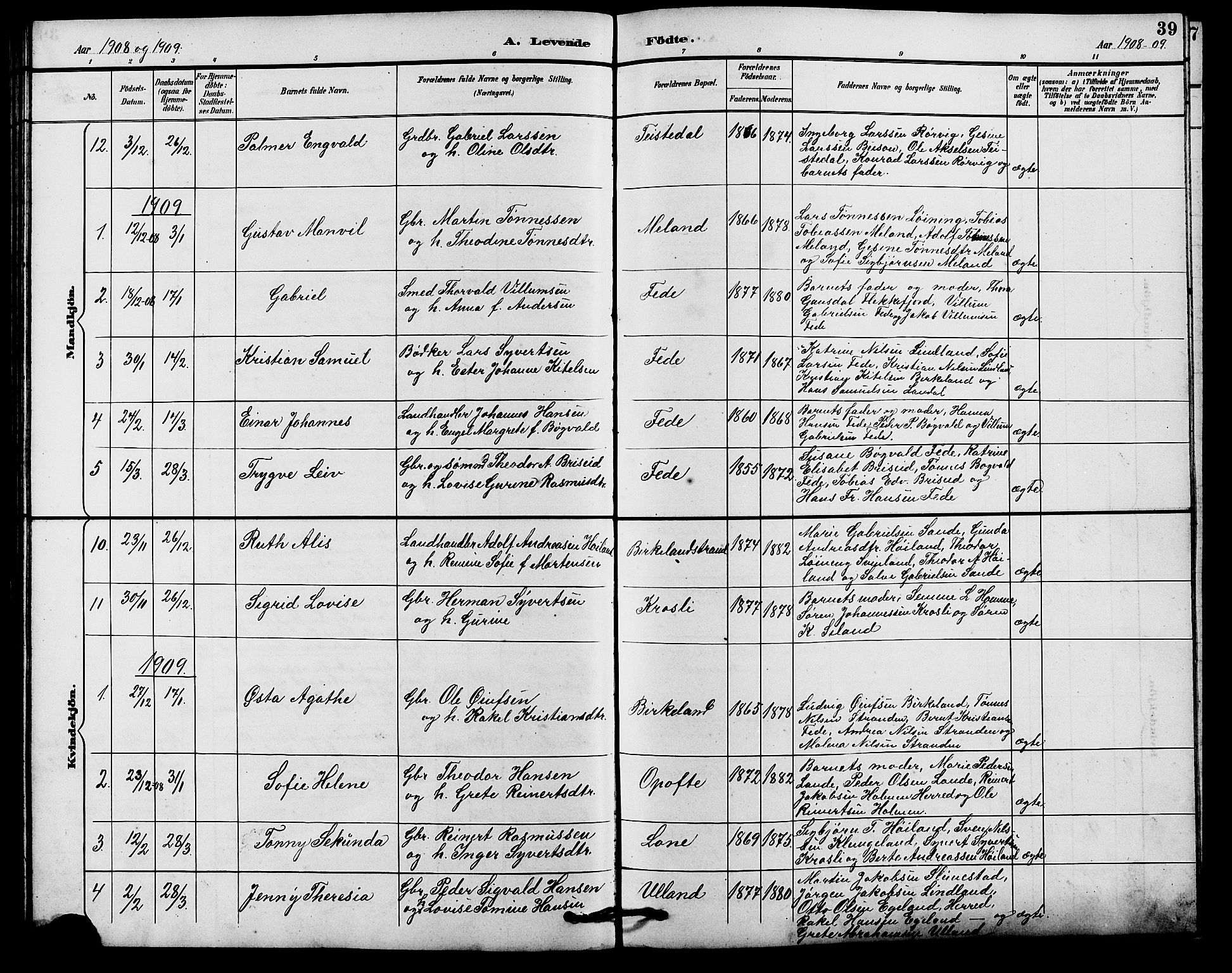 Kvinesdal sokneprestkontor, AV/SAK-1111-0026/F/Fb/Fba/L0004: Parish register (copy) no. B 4, 1894-1909, p. 39