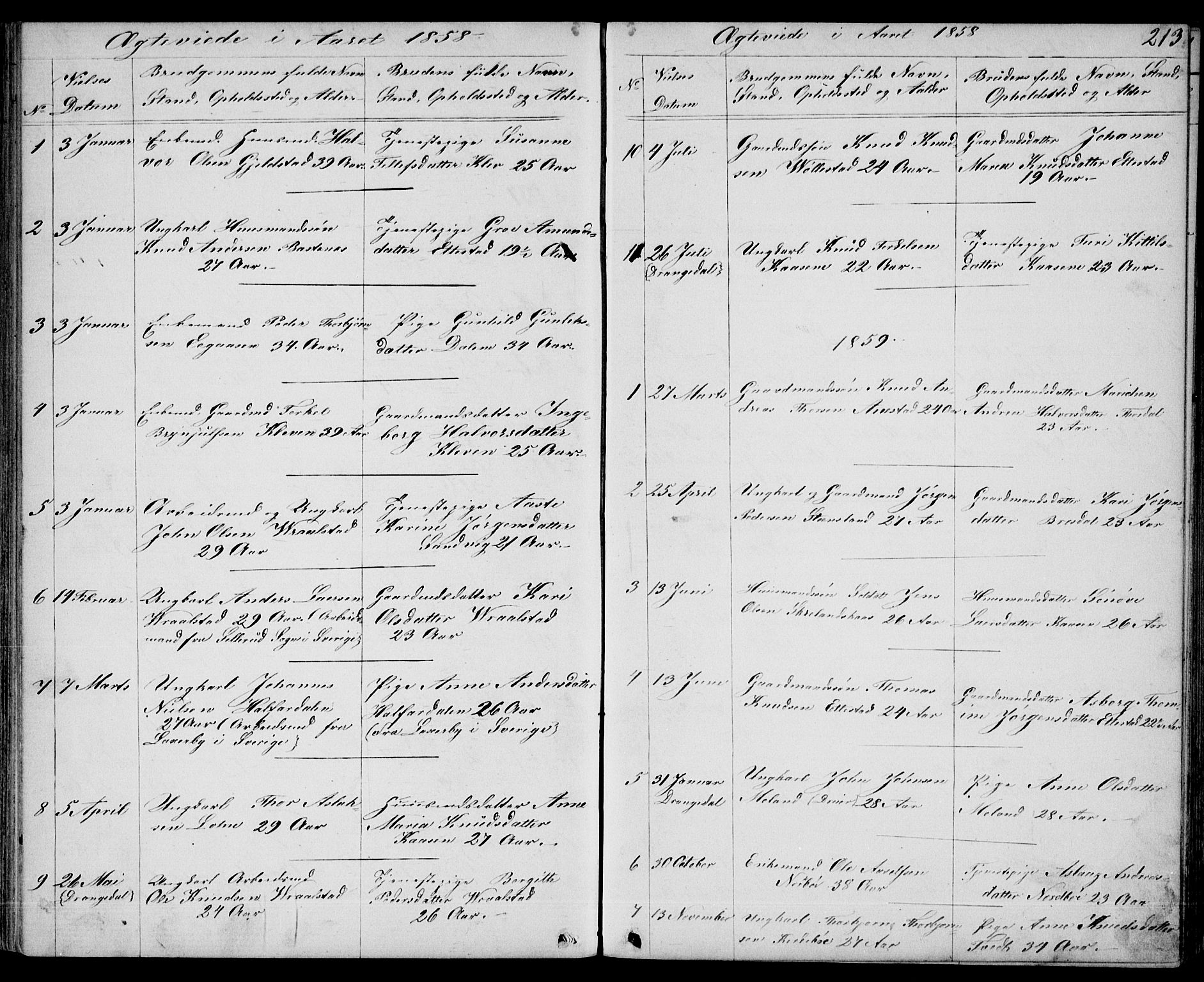 Drangedal kirkebøker, SAKO/A-258/G/Gb/L0001: Parish register (copy) no. II 1, 1856-1894, p. 213