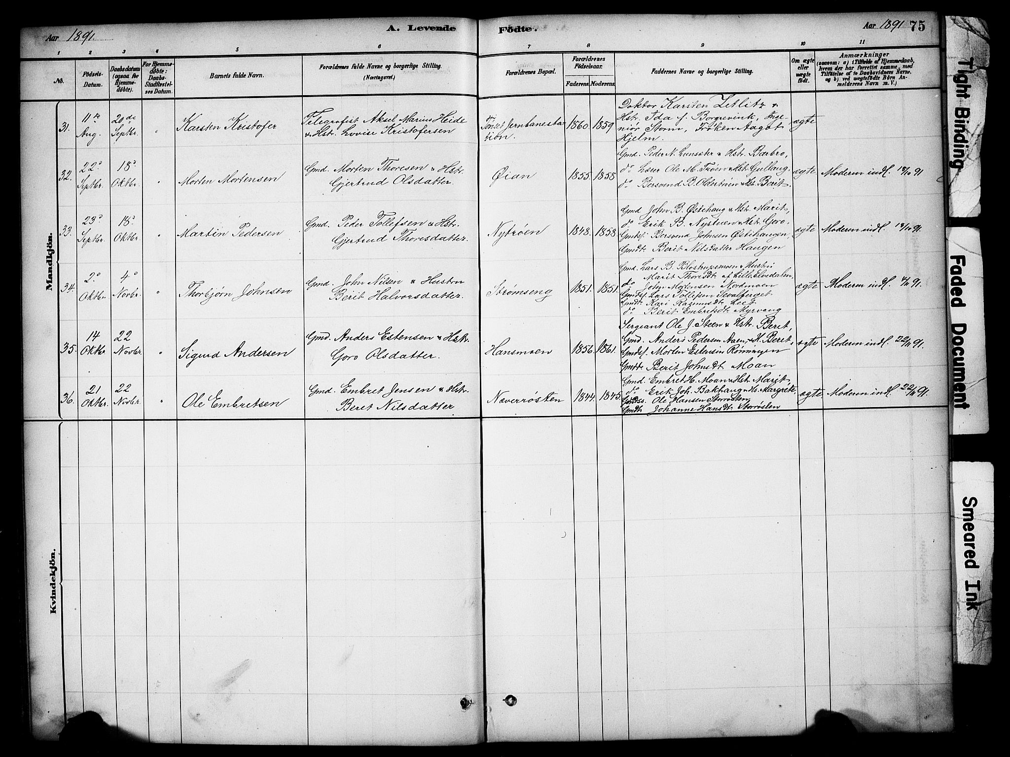 Tynset prestekontor, SAH/PREST-058/H/Ha/Hab/L0006: Parish register (copy) no. 6, 1880-1899, p. 75