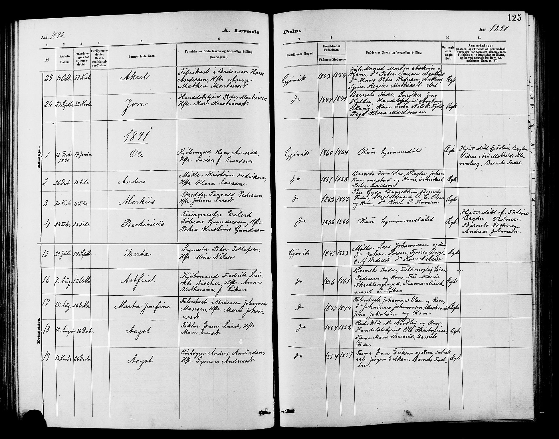 Vardal prestekontor, SAH/PREST-100/H/Ha/Hab/L0007: Parish register (copy) no. 7 /2, 1881-1895, p. 125
