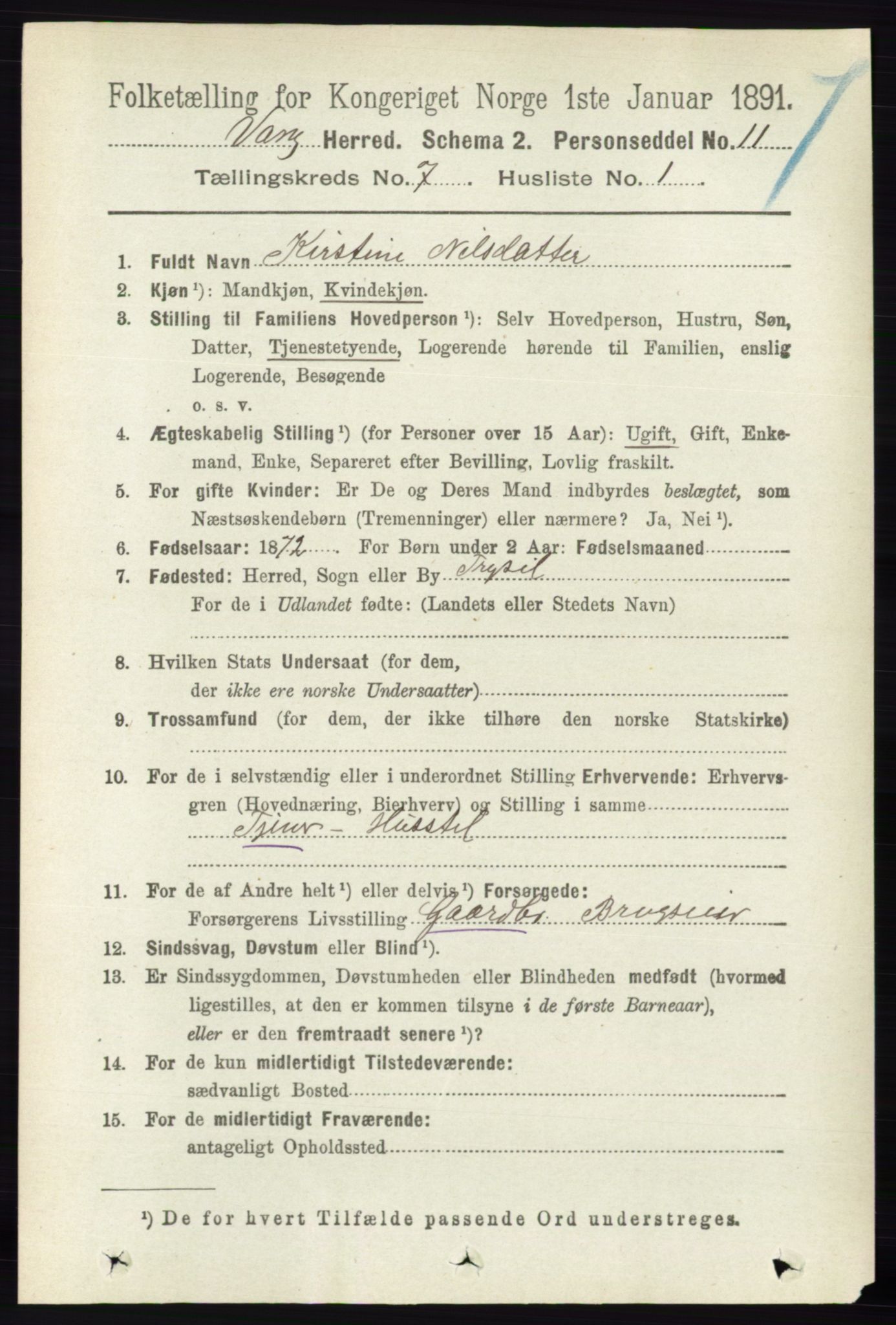 RA, 1891 census for 0414 Vang, 1891, p. 5036