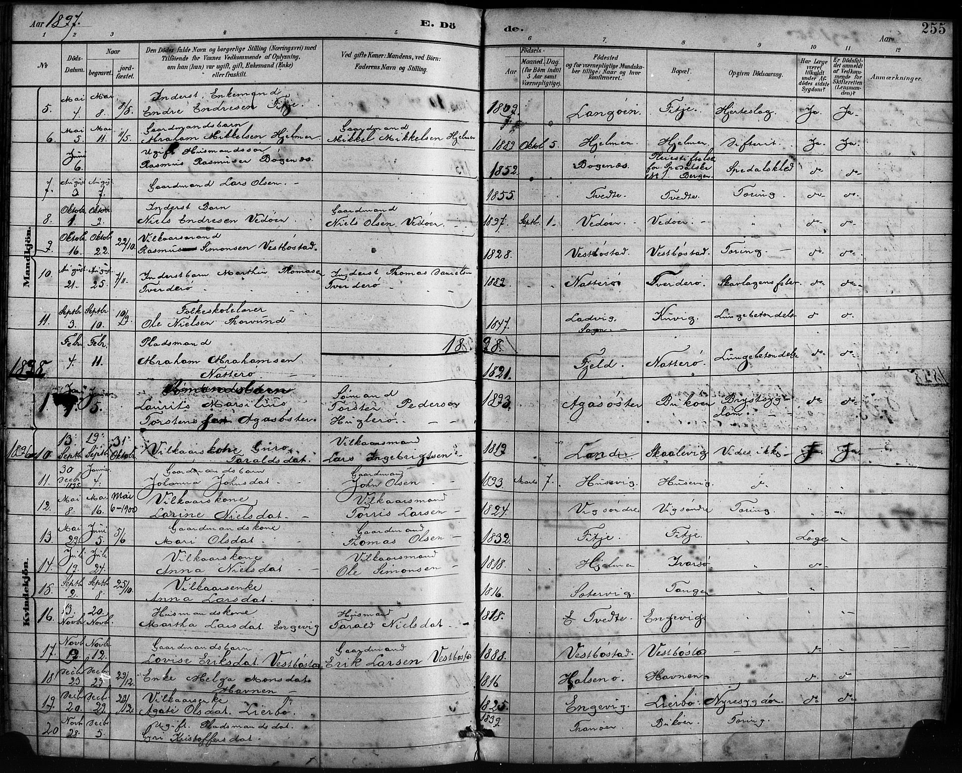 Fitjar sokneprestembete, SAB/A-99926: Parish register (official) no. A 2, 1882-1899, p. 255