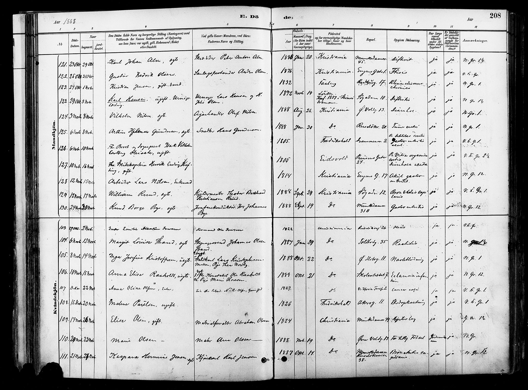 Johannes prestekontor Kirkebøker, AV/SAO-A-10852/F/Fa/L0004: Parish register (official) no. 4, 1883-1907, p. 208