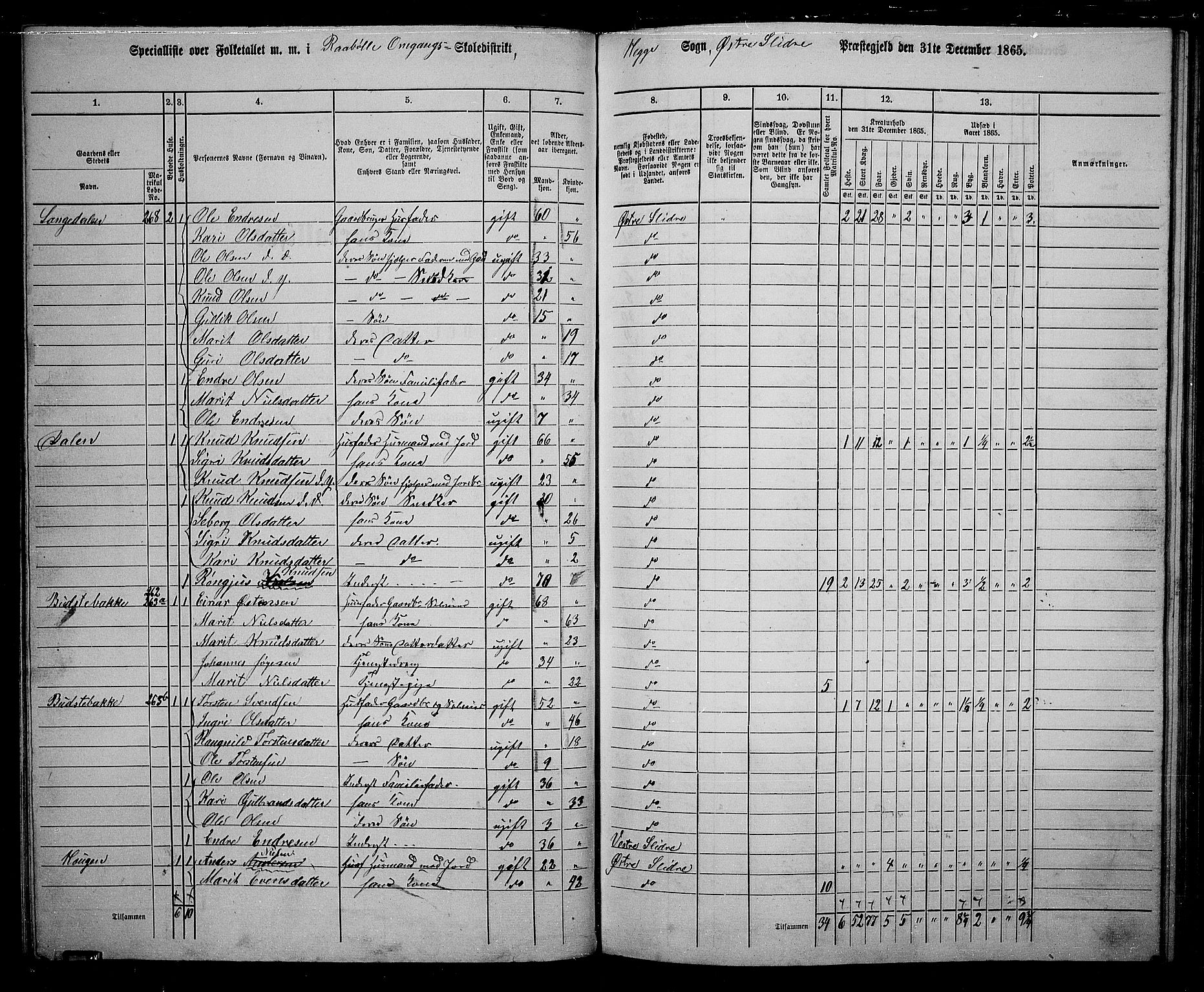 RA, 1865 census for Øystre Slidre, 1865, p. 64