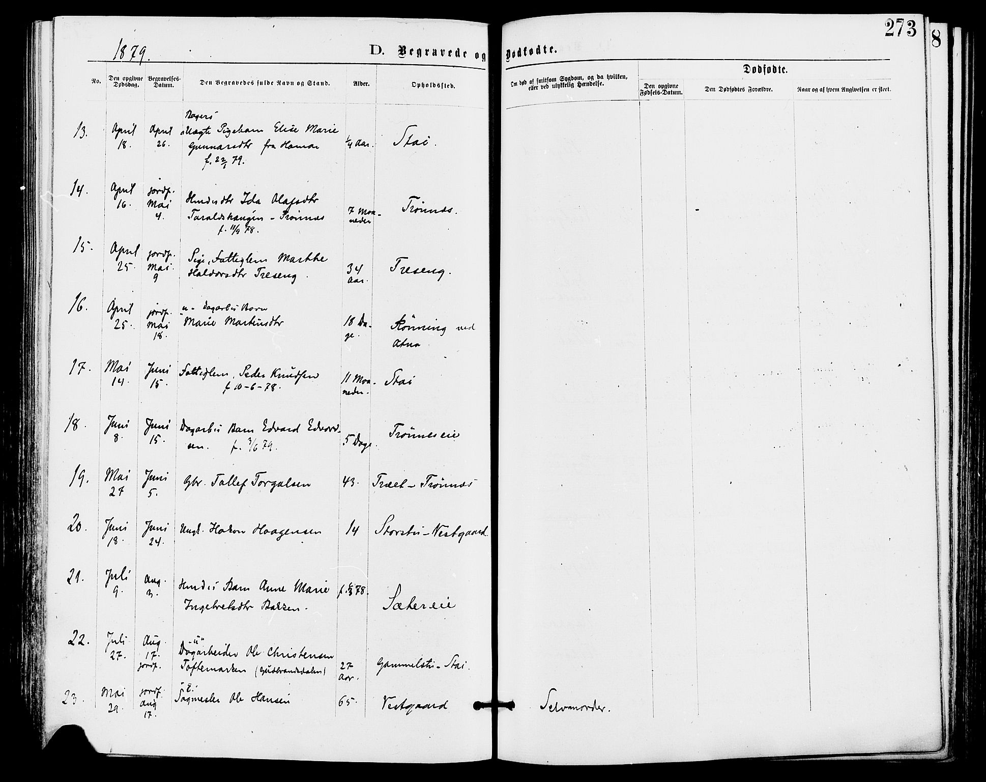 Stor-Elvdal prestekontor, SAH/PREST-052/H/Ha/Haa/L0001: Parish register (official) no. 1, 1871-1882, p. 273