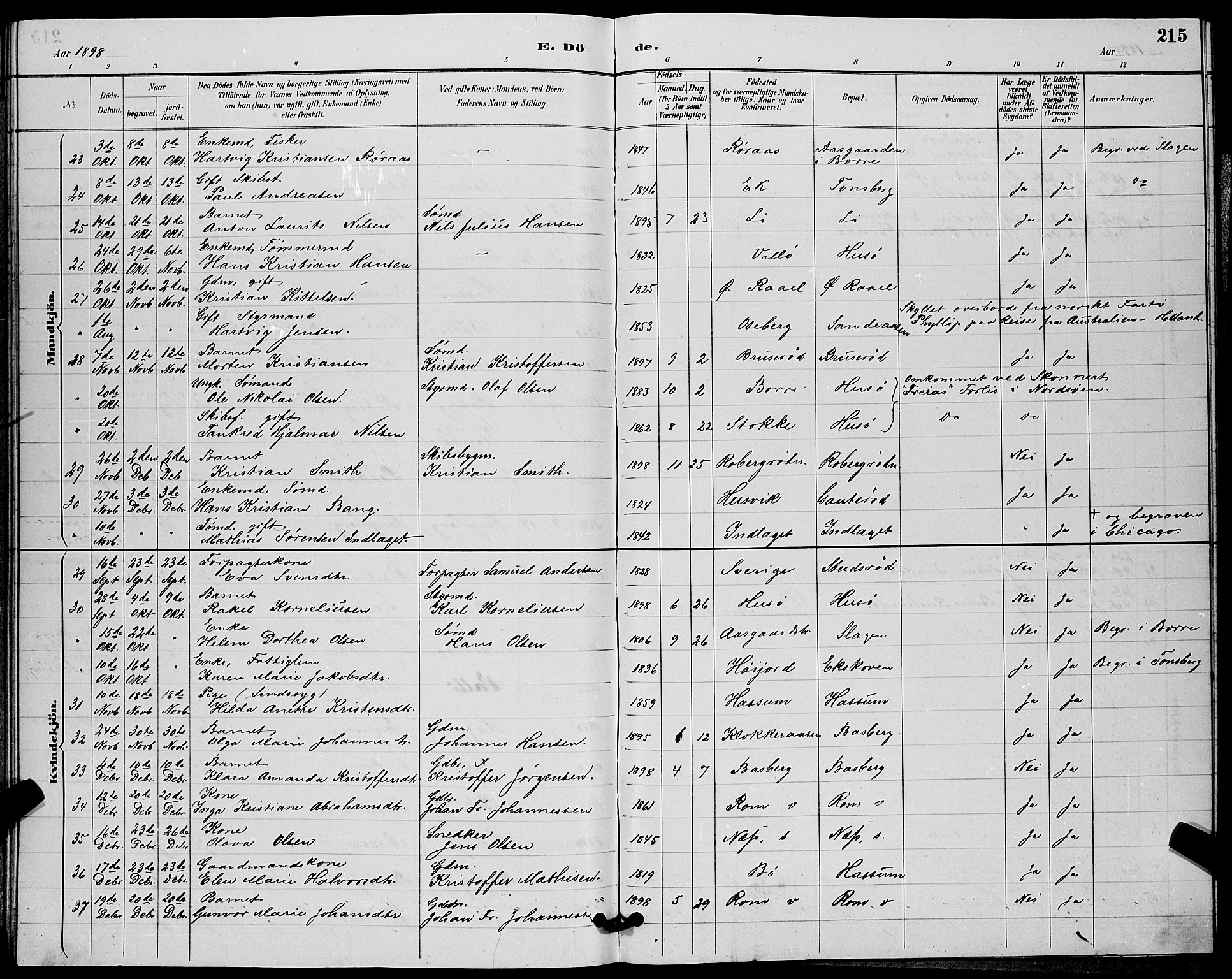 Sem kirkebøker, AV/SAKO-A-5/G/Gb/L0002: Parish register (copy) no. II 2, 1886-1899, p. 215