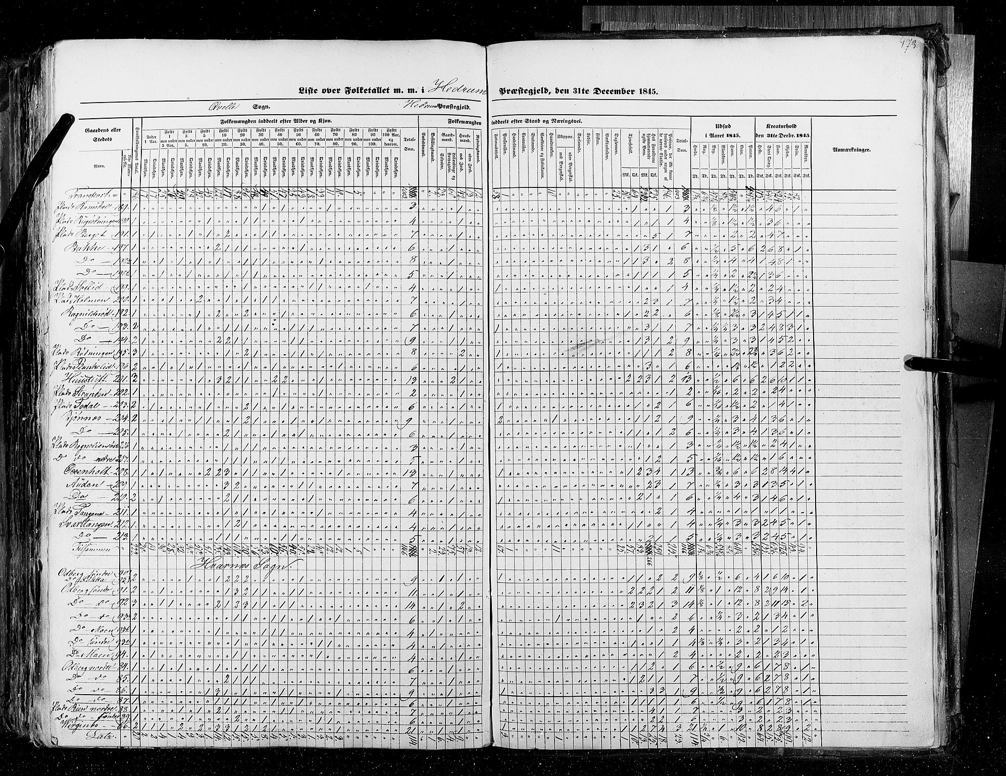 RA, Census 1845, vol. 4: Buskerud amt og Jarlsberg og Larvik amt, 1845, p. 473