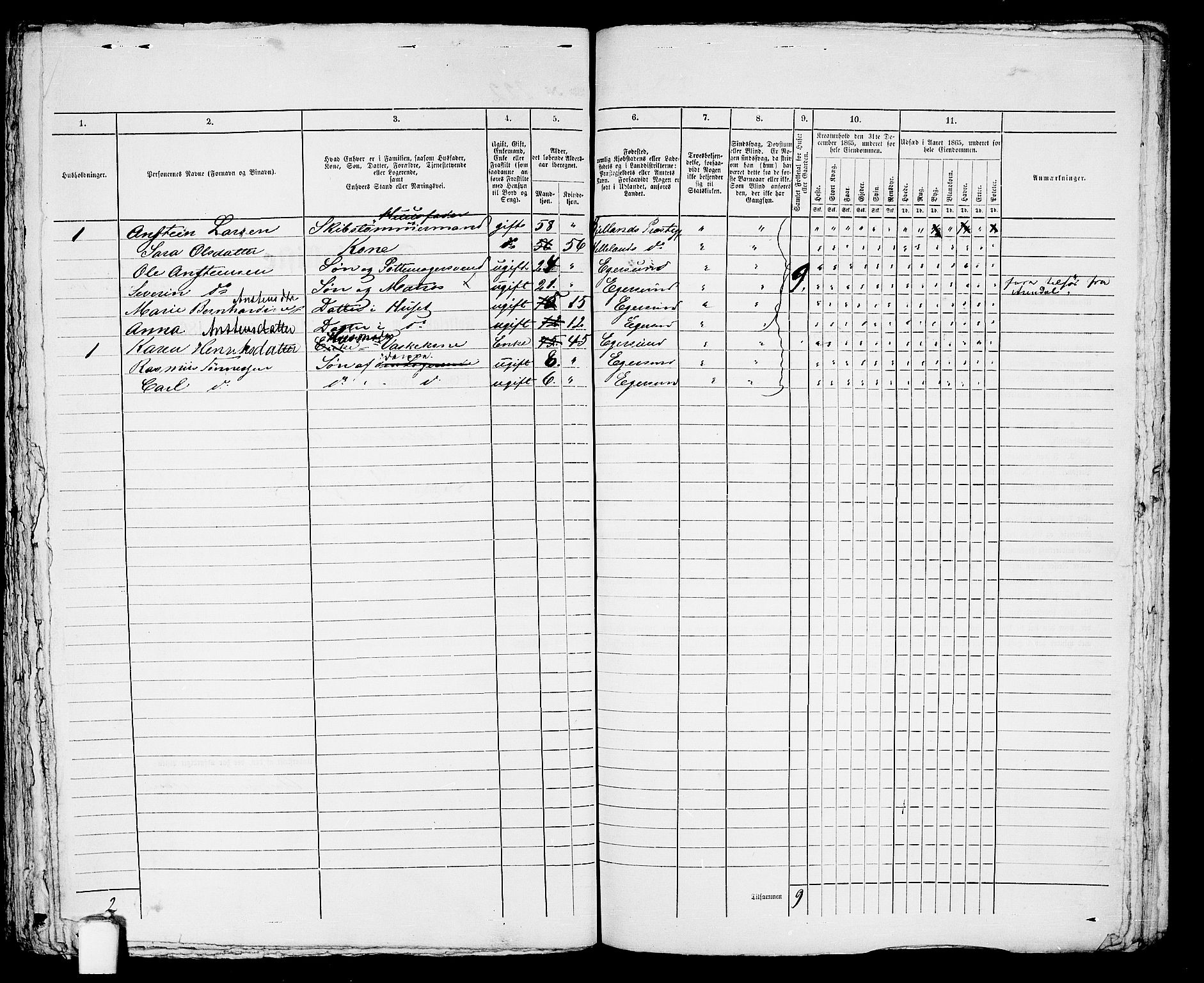 RA, 1865 census for Eigersund parish, Egersund town, 1865, p. 458