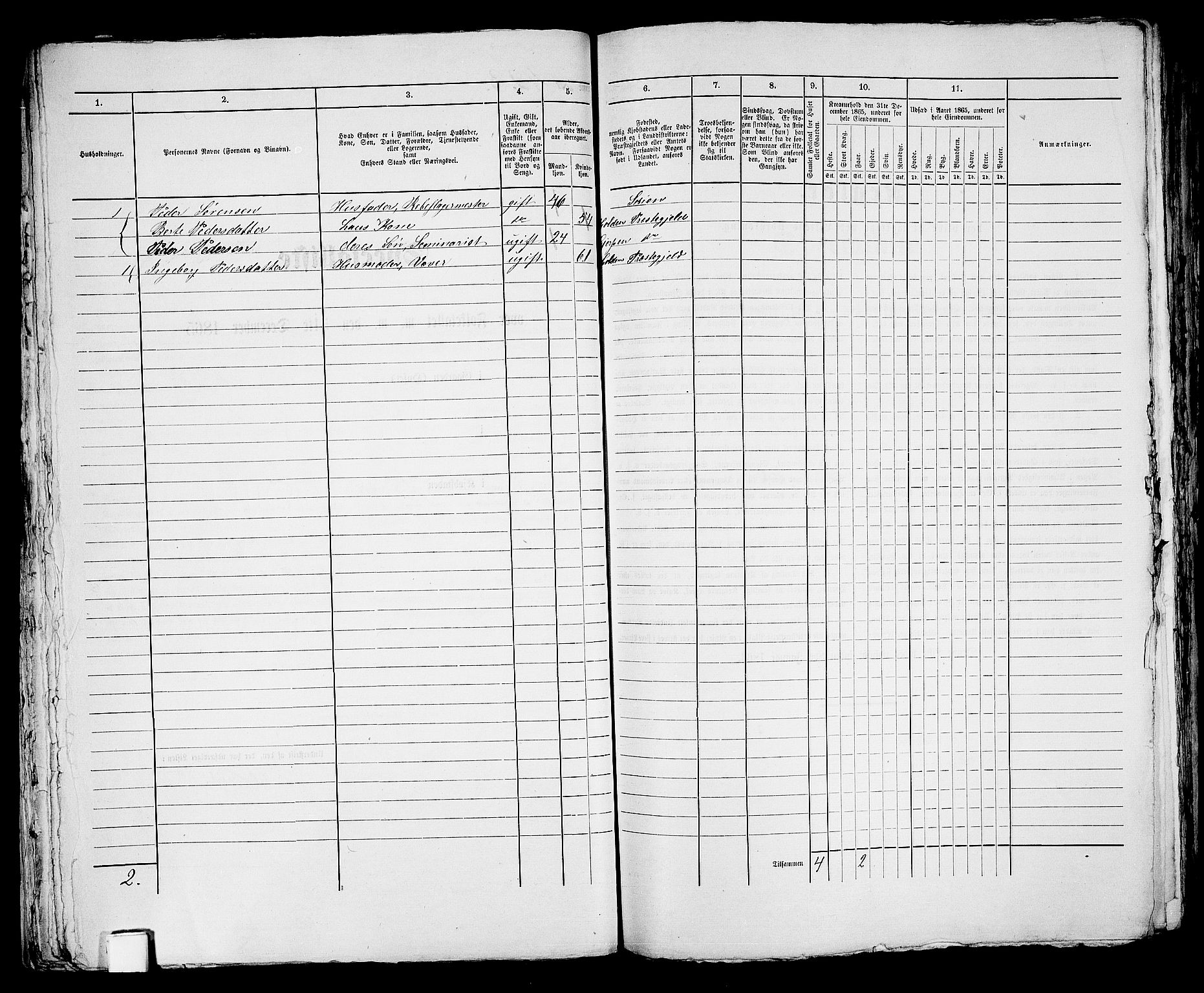 RA, 1865 census for Skien, 1865, p. 872