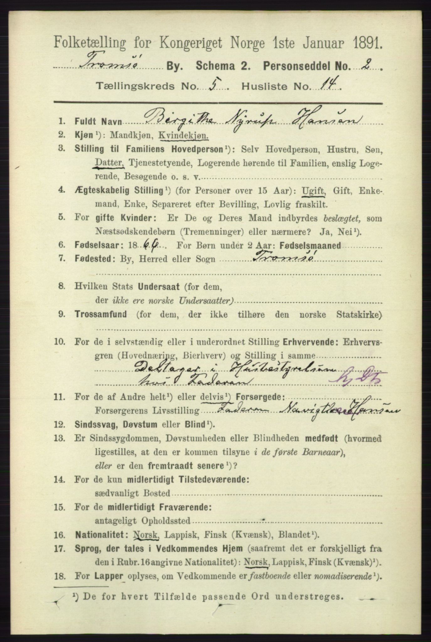 RA, 1891 census for 1902 Tromsø, 1891, p. 4983