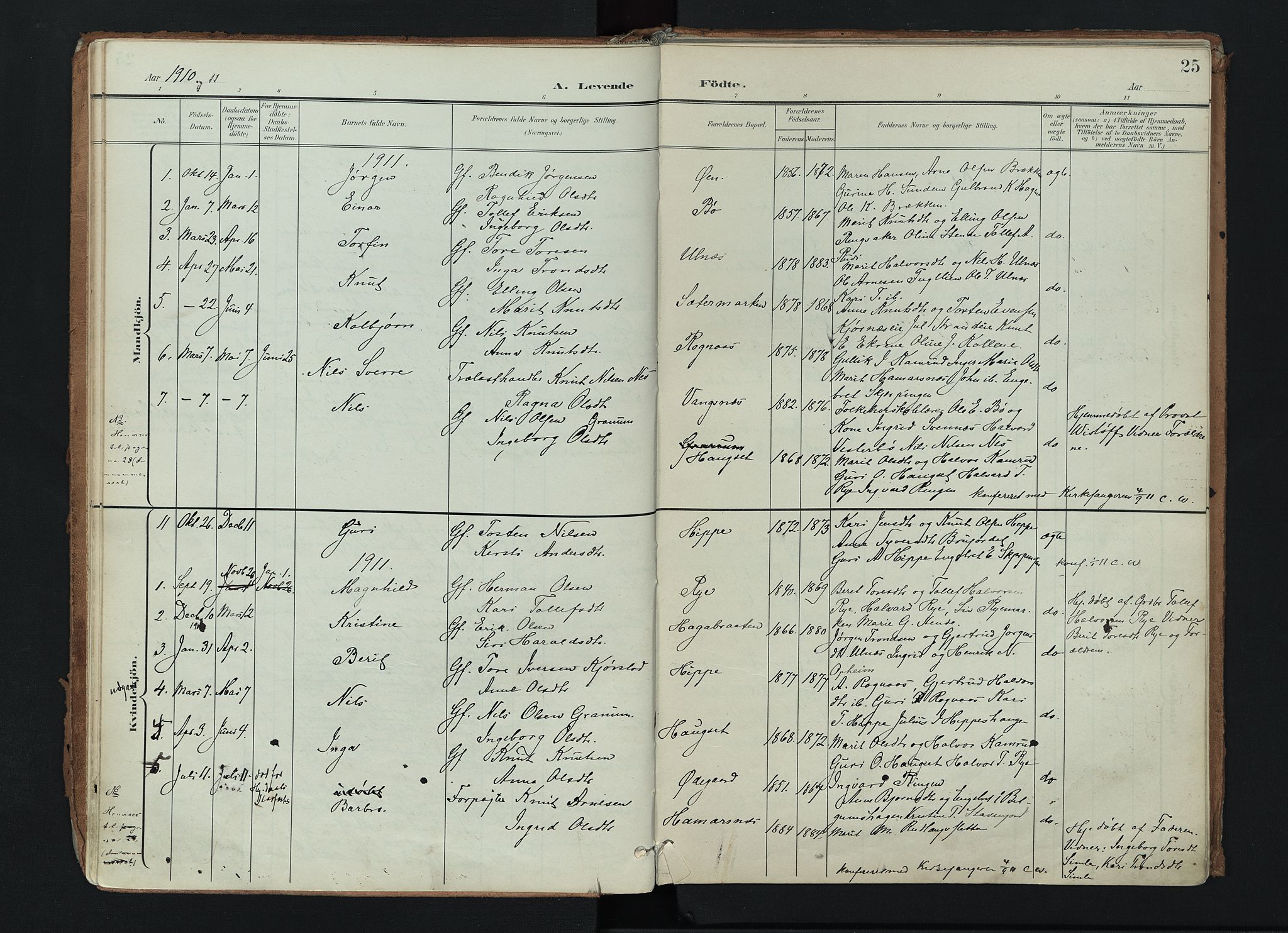 Nord-Aurdal prestekontor, AV/SAH-PREST-132/H/Ha/Haa/L0017: Parish register (official) no. 17, 1897-1926, p. 25