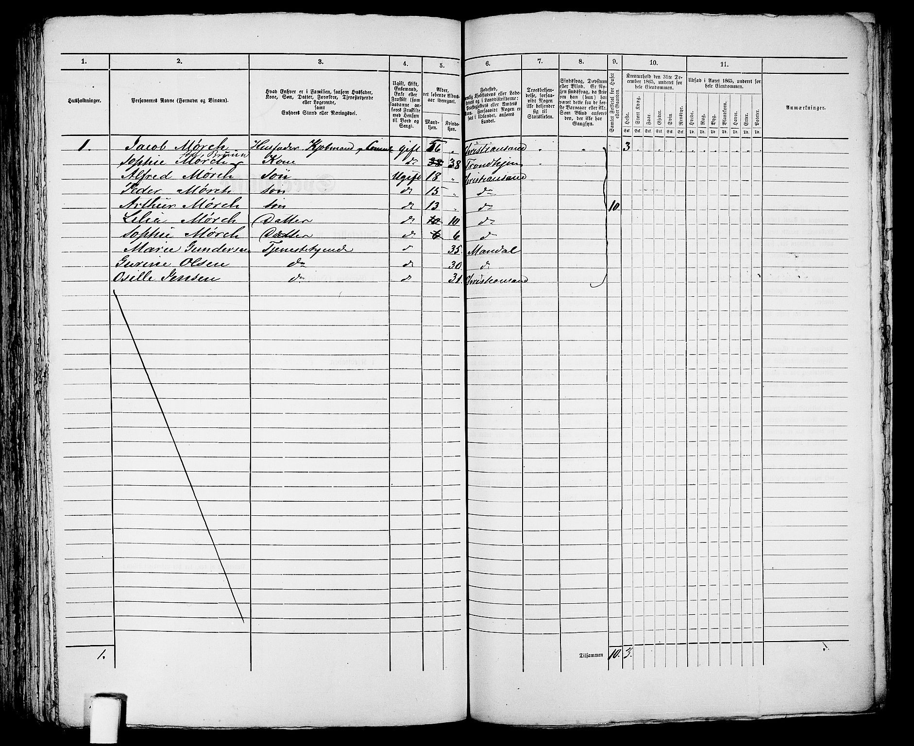 RA, 1865 census for Kristiansand, 1865, p. 1964