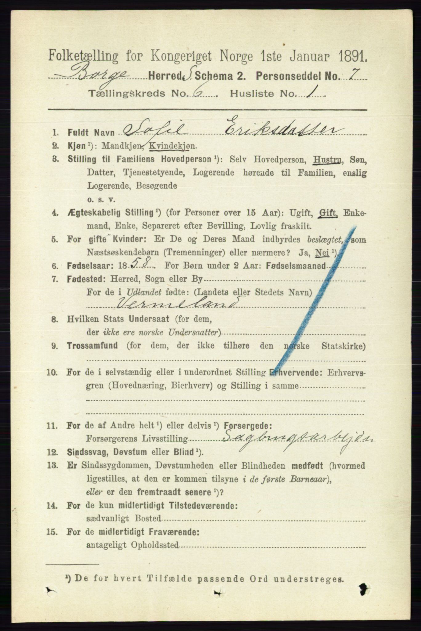 RA, 1891 census for 0113 Borge, 1891, p. 3042