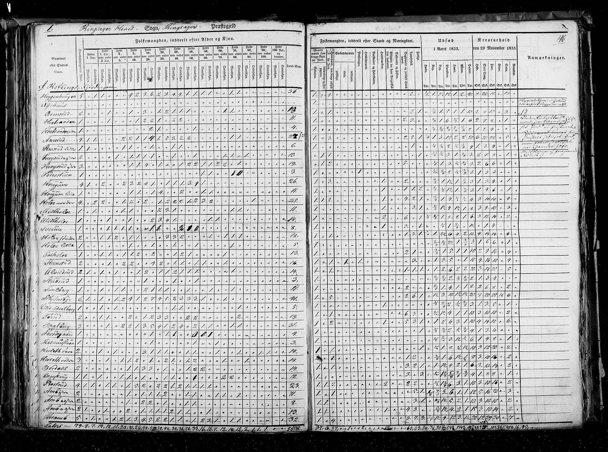 RA, Census 1835, vol. 3: Hedemarken amt og Kristians amt, 1835, p. 196