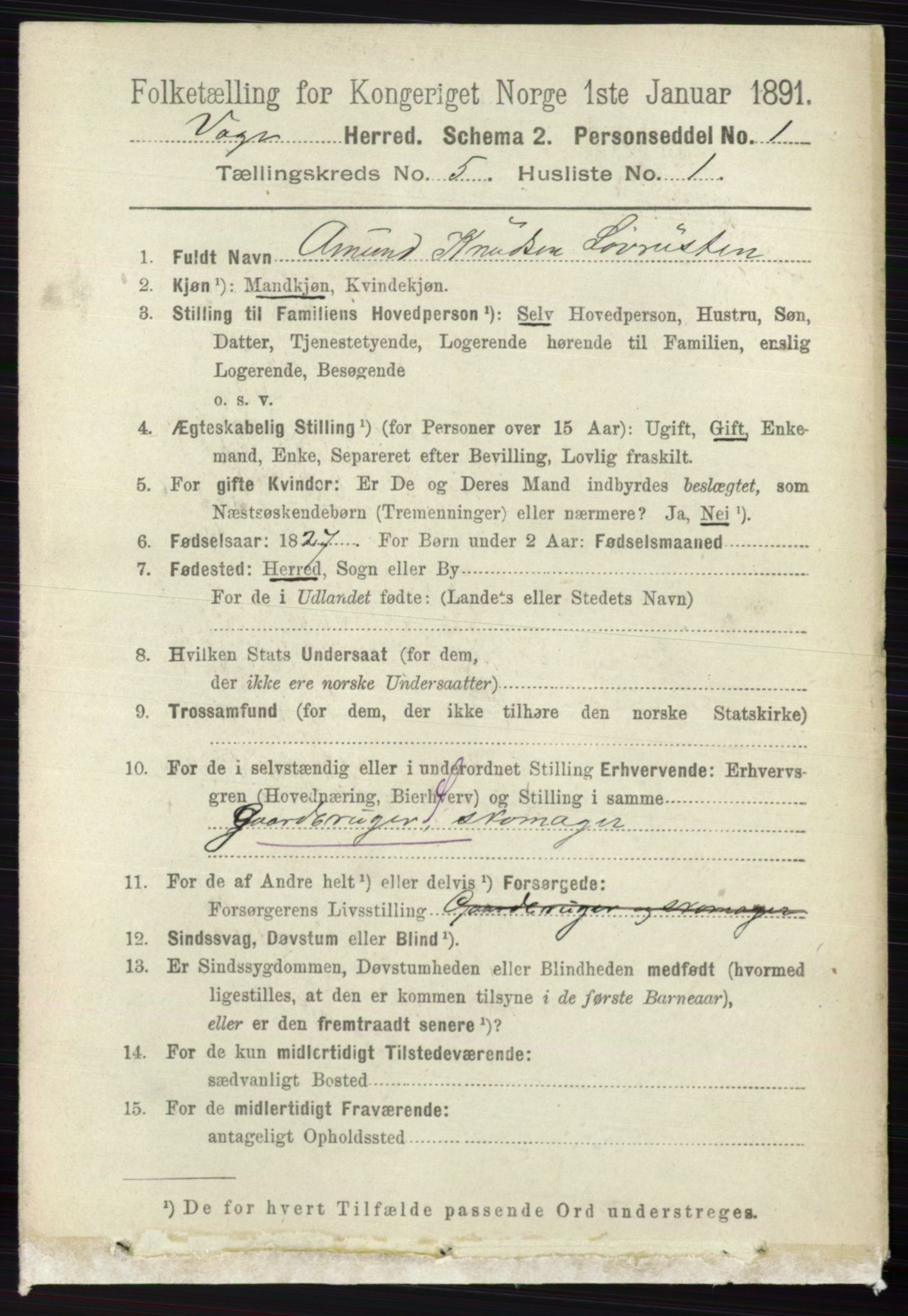 RA, 1891 census for 0515 Vågå, 1891, p. 3347