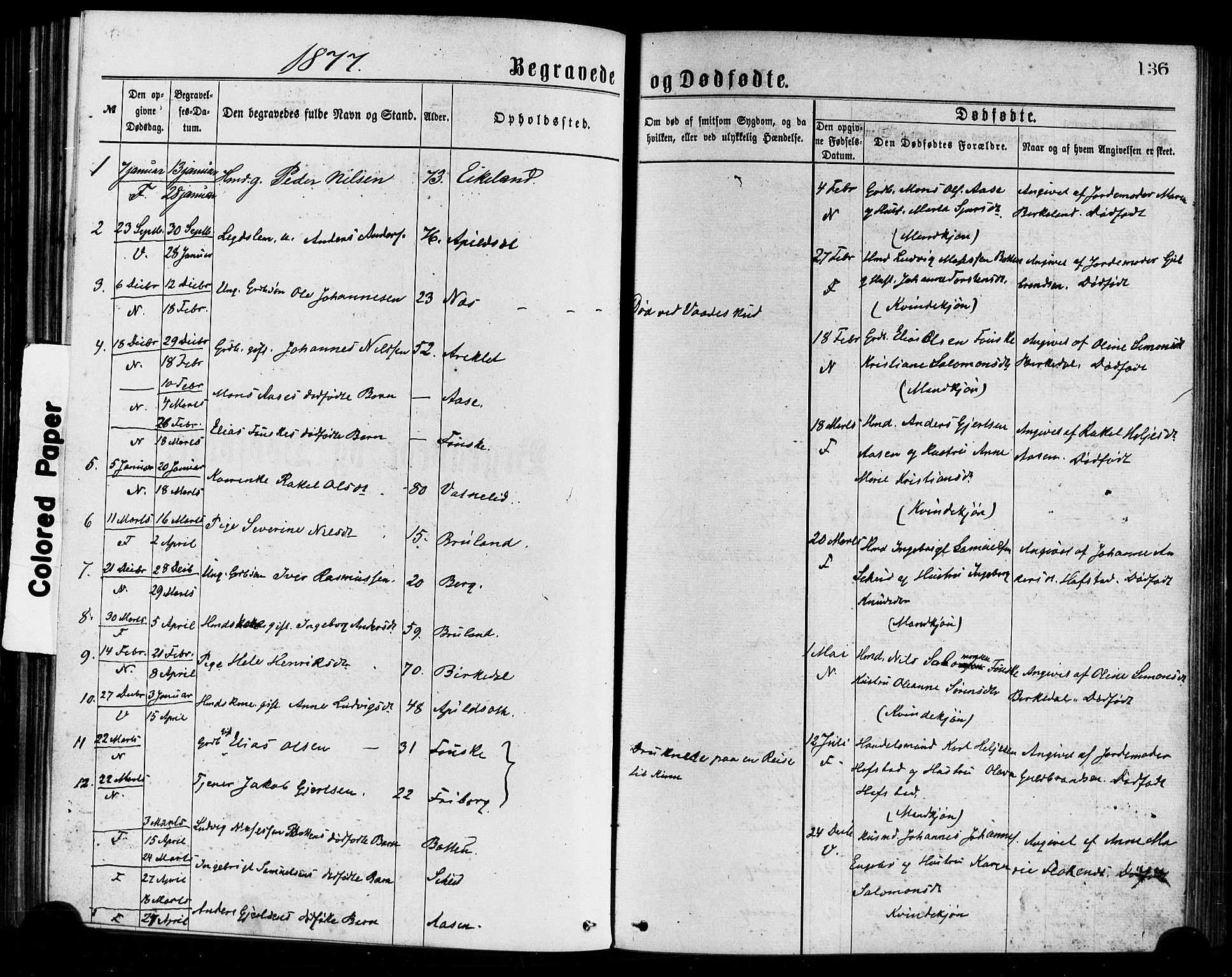 Førde sokneprestembete, SAB/A-79901/H/Haa/Haaa/L0011: Parish register (official) no. A 11, 1877-1880, p. 136