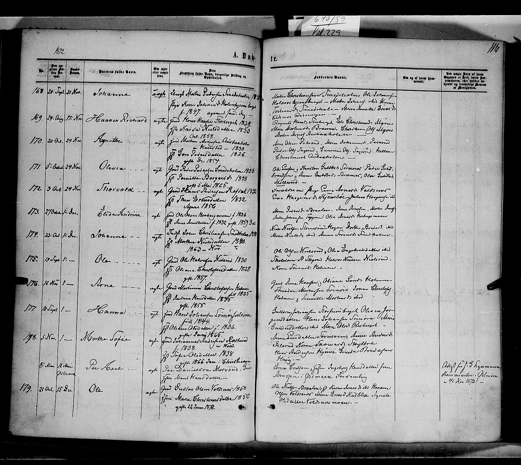 Grue prestekontor, SAH/PREST-036/H/Ha/Haa/L0010: Parish register (official) no. 10, 1864-1873, p. 116