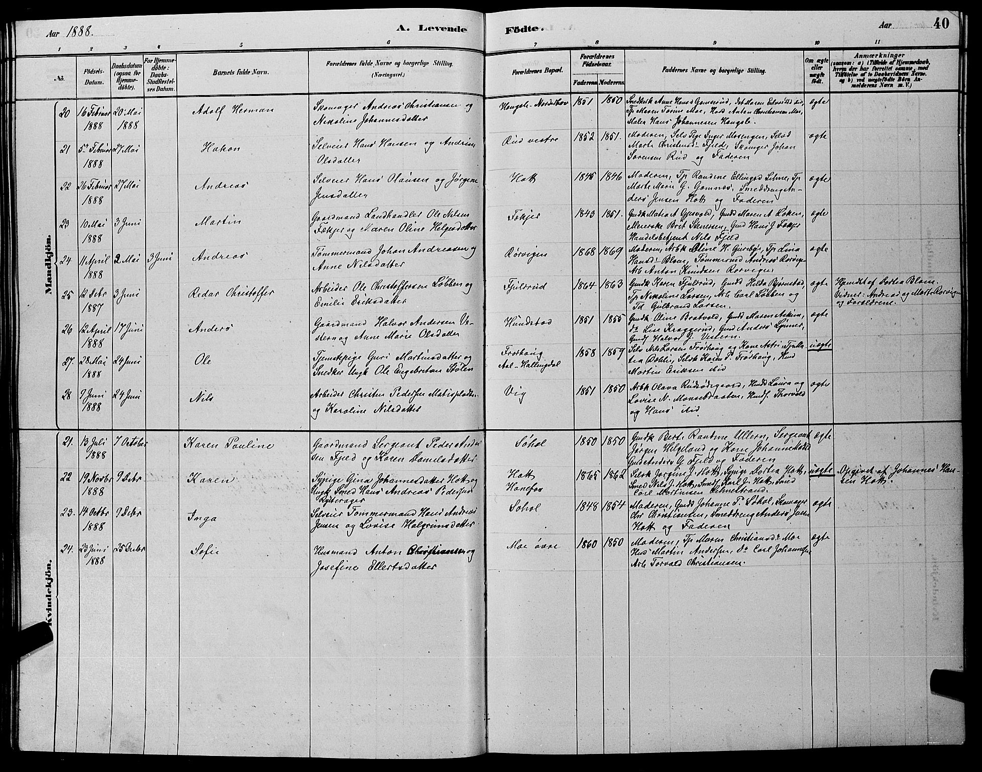 Hole kirkebøker, SAKO/A-228/G/Ga/L0003: Parish register (copy) no. I 3, 1879-1904, p. 40