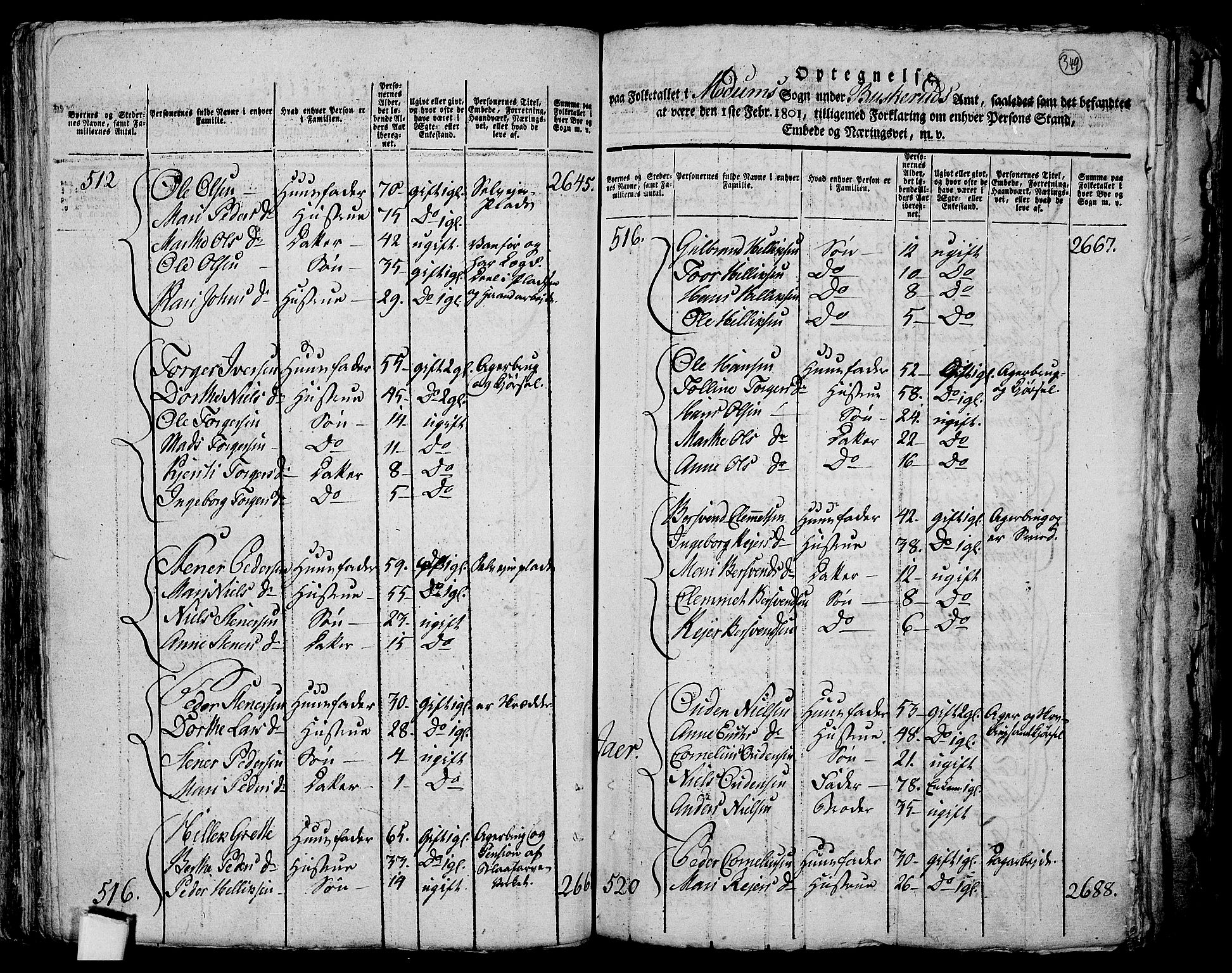 RA, 1801 census for 0623P Modum, 1801, p. 348b-349a