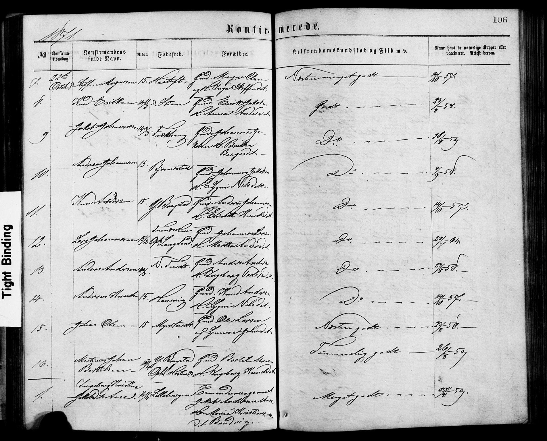 Alversund Sokneprestembete, SAB/A-73901/H/Ha/Hab: Parish register (copy) no. C 2, 1867-1880, p. 106