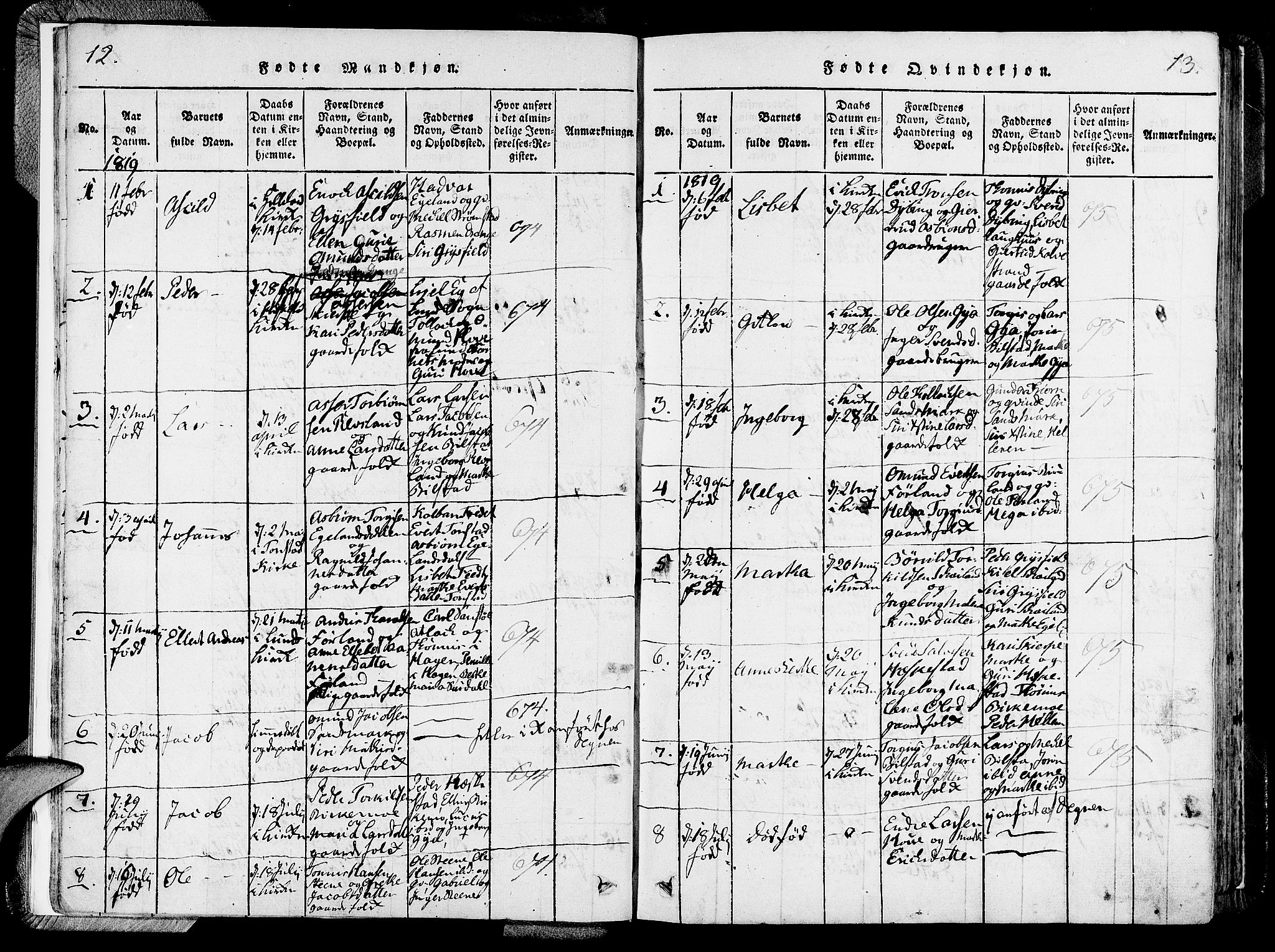 Lund sokneprestkontor, SAST/A-101809/S06/L0006: Parish register (official) no. A 6, 1816-1839, p. 12-13