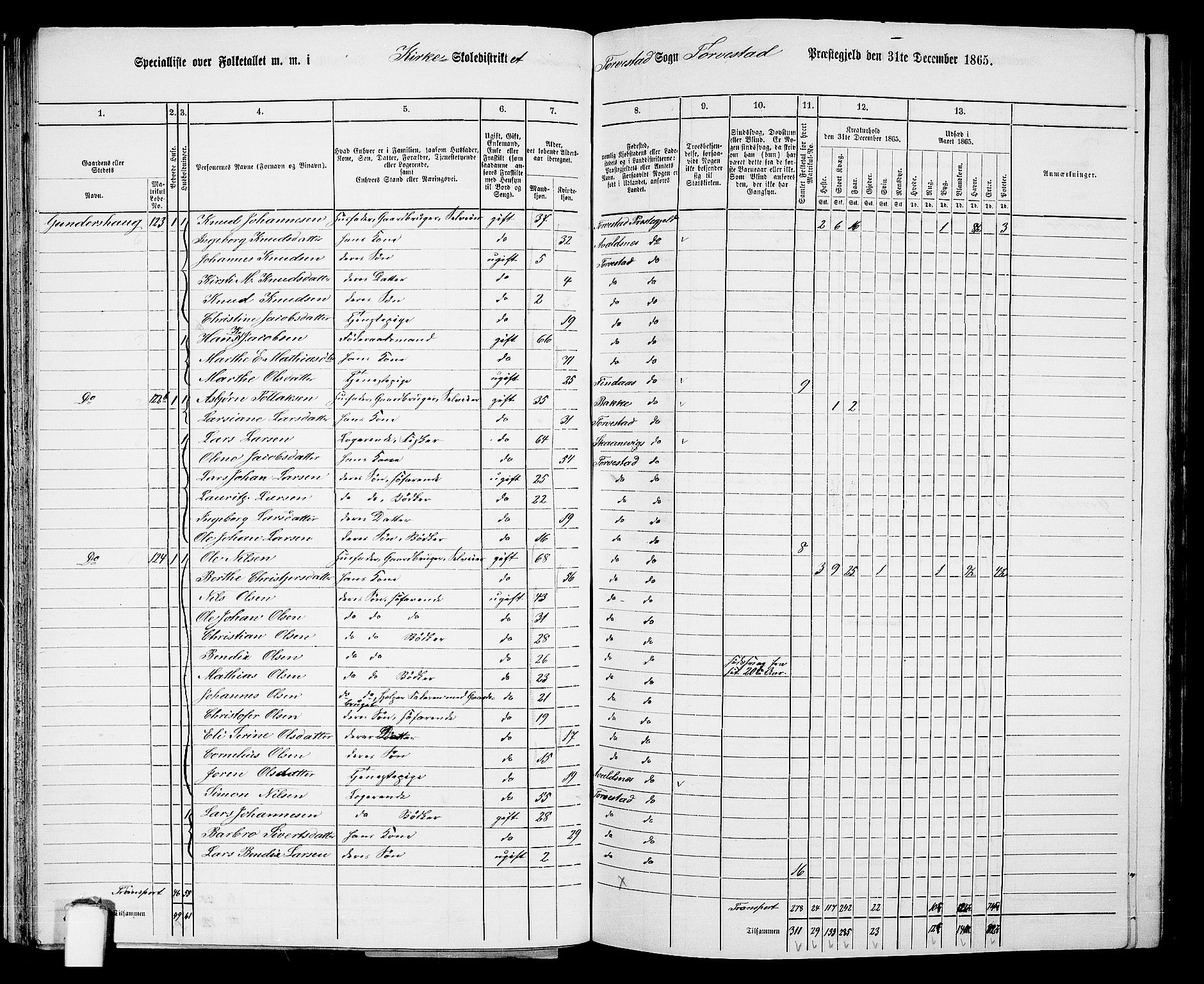 RA, 1865 census for Torvastad/Torvastad, Skåre og Utsira, 1865, p. 51