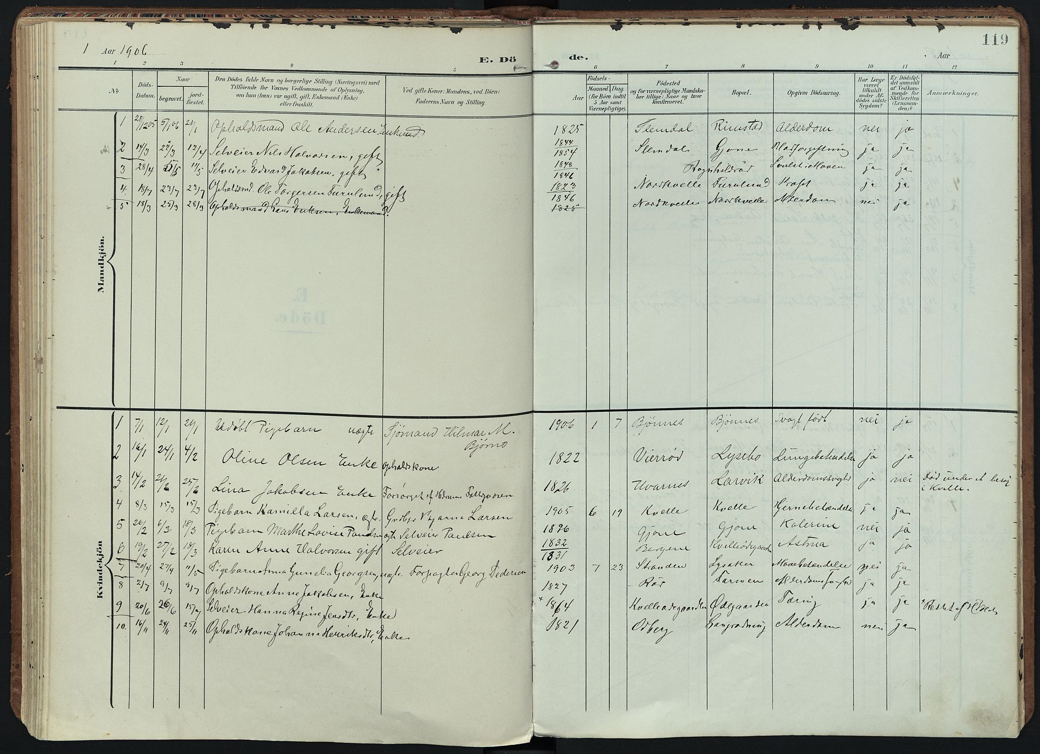 Hedrum kirkebøker, SAKO/A-344/F/Fb/L0002: Parish register (official) no. II 2, 1906-1924, p. 119
