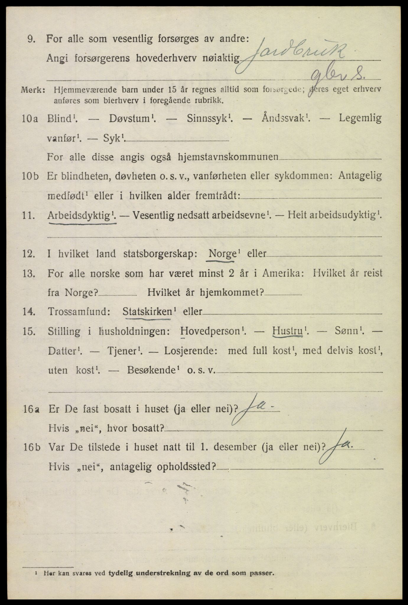 SAH, 1920 census for Sør-Aurdal, 1920, p. 1532