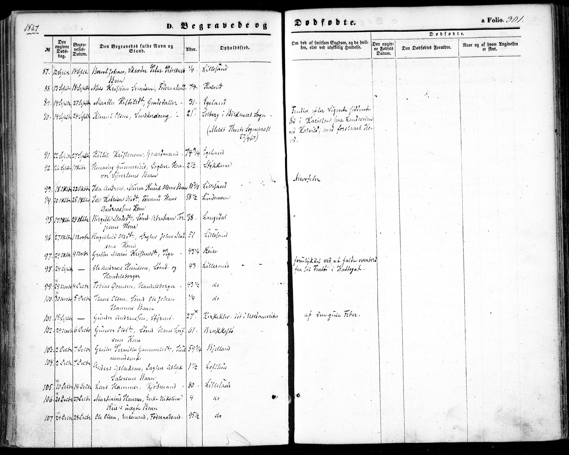 Vestre Moland sokneprestkontor, SAK/1111-0046/F/Fa/Fab/L0007: Parish register (official) no. A 7, 1859-1872, p. 301