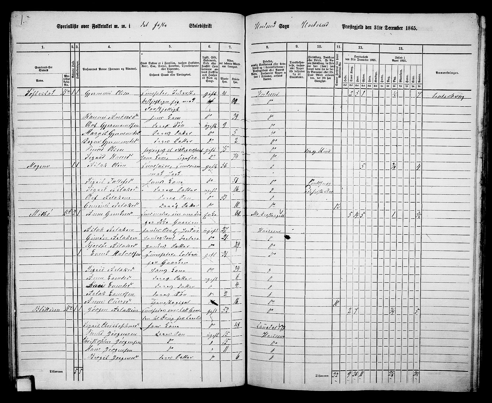 RA, 1865 census for Kviteseid, 1865, p. 46