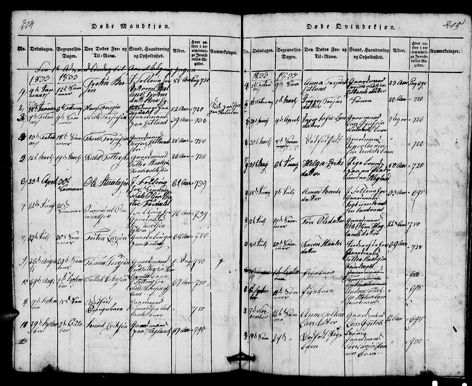 Bakke sokneprestkontor, AV/SAK-1111-0002/F/Fb/Fbb/L0001: Parish register (copy) no. B 1, 1815-1835, p. 214-215