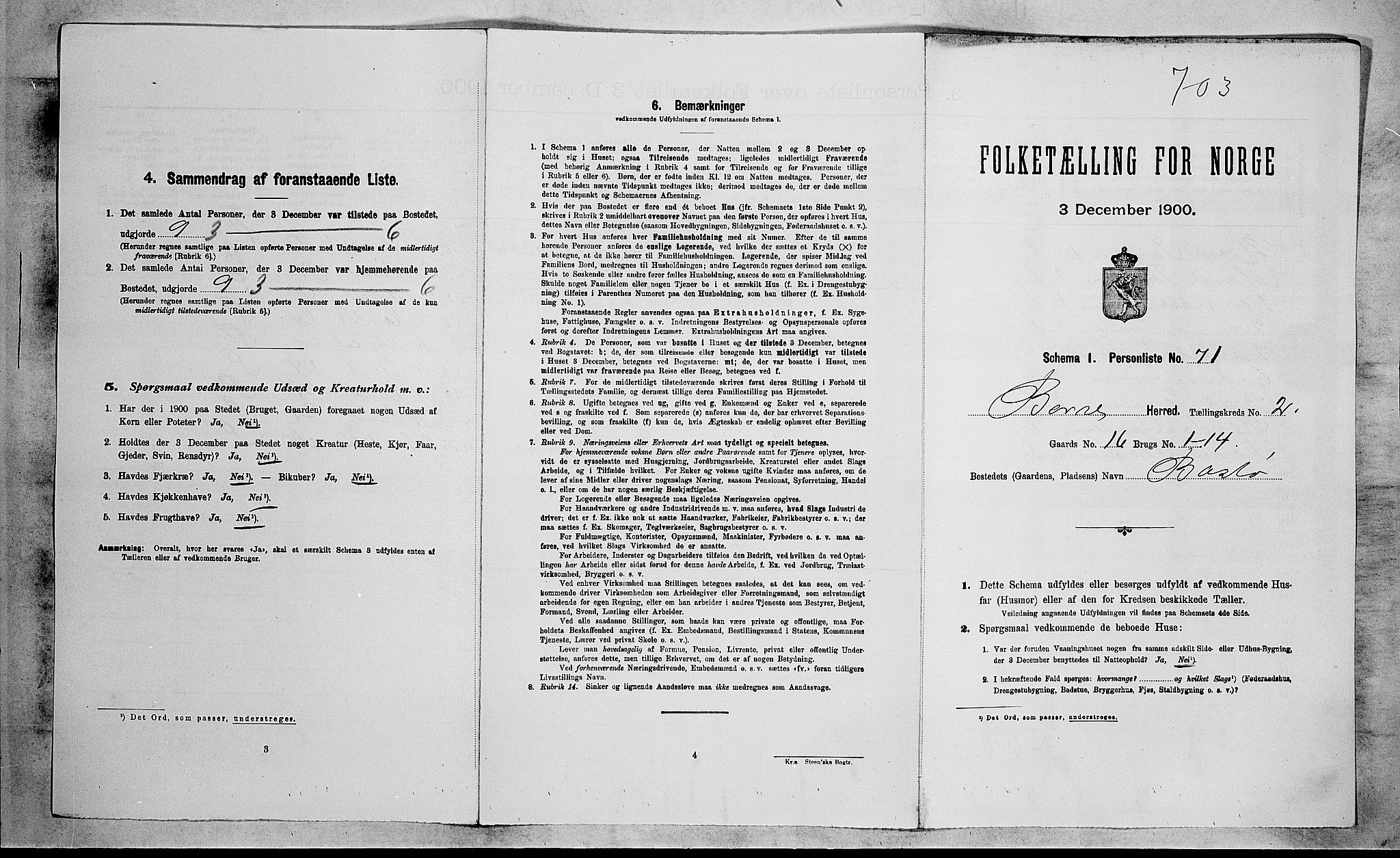 RA, 1900 census for Borre, 1900, p. 395